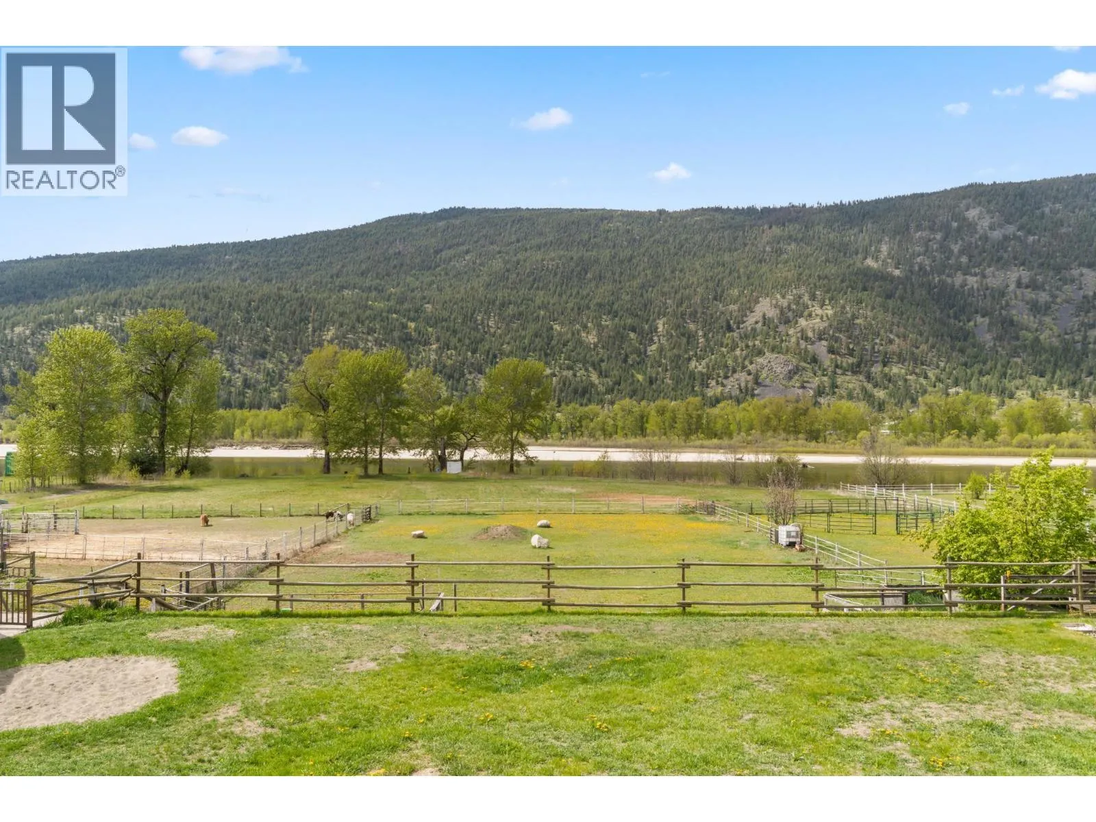 157 BINGO RANCH Road