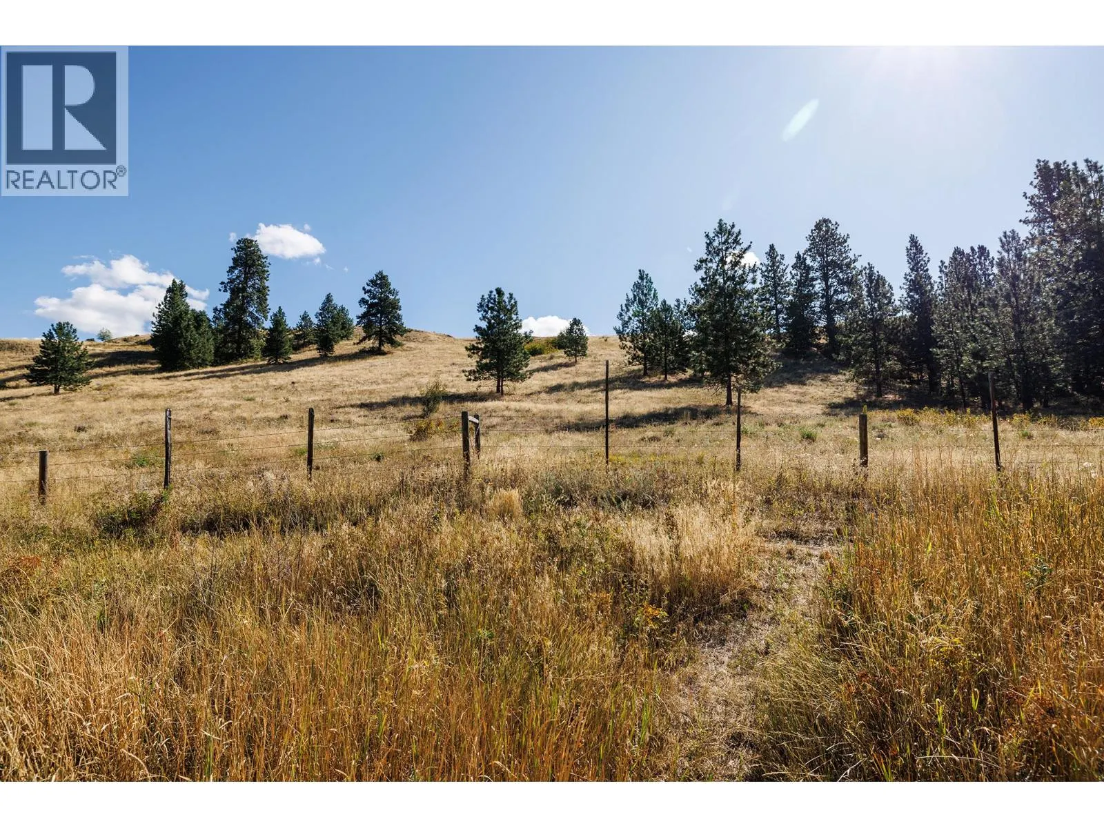 10533 Cheryl Road