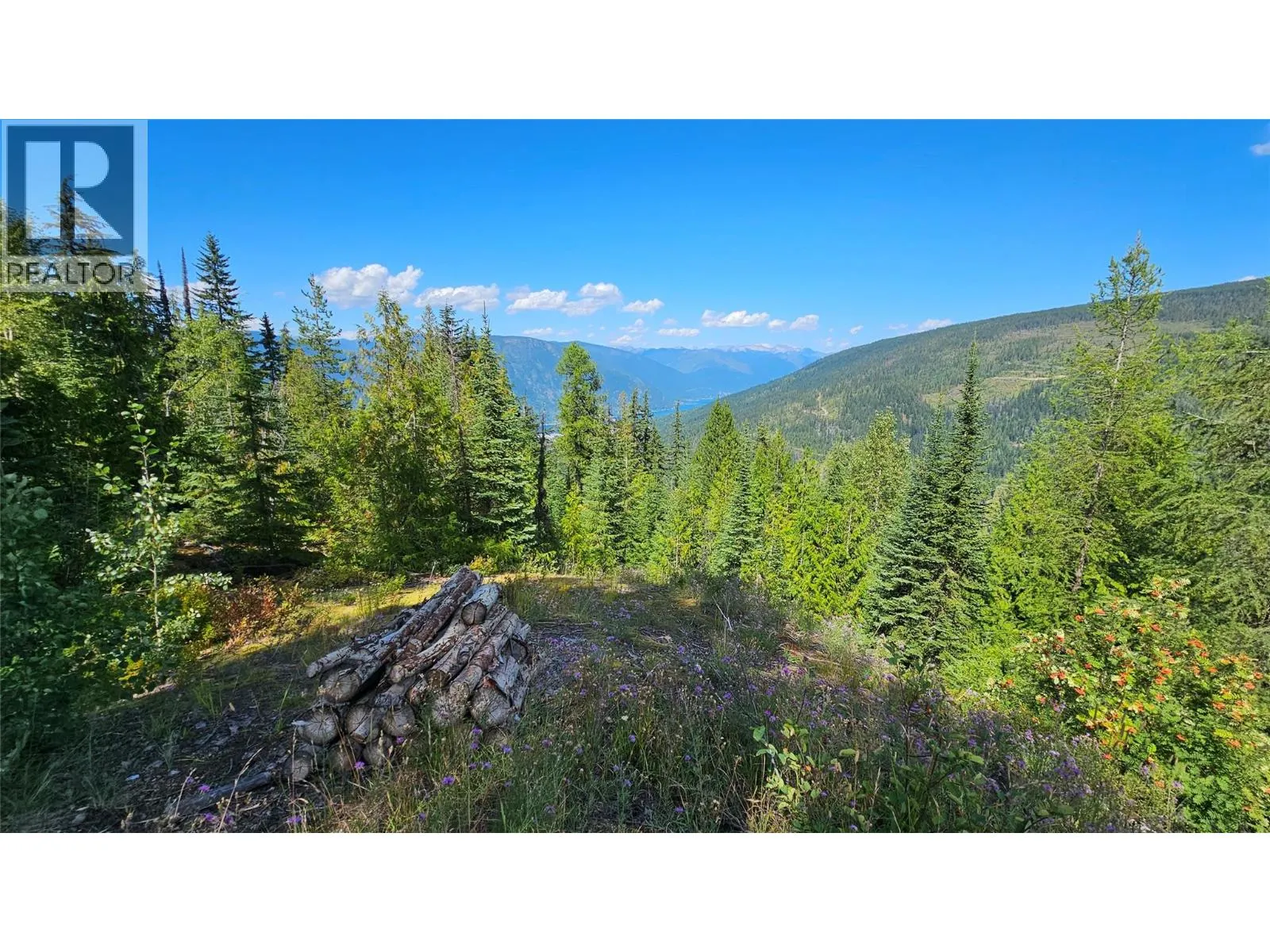 Gold Creek Road