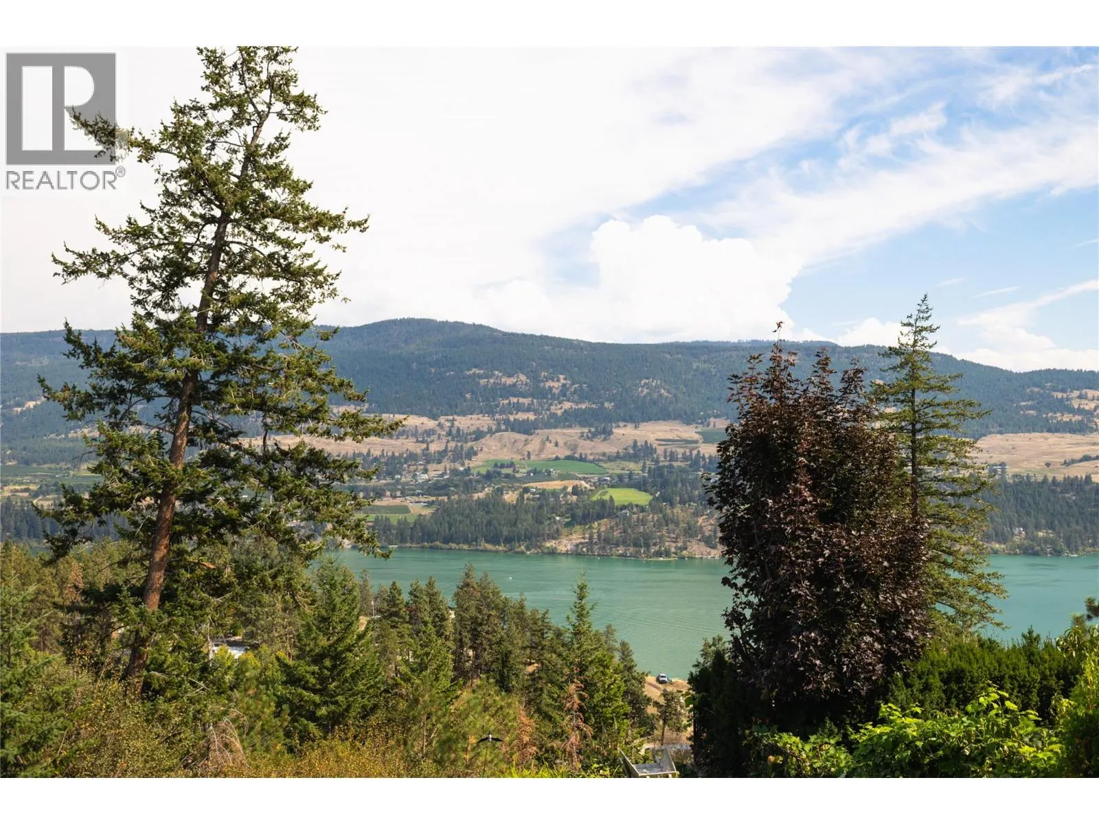 13137 Cliffstone Court