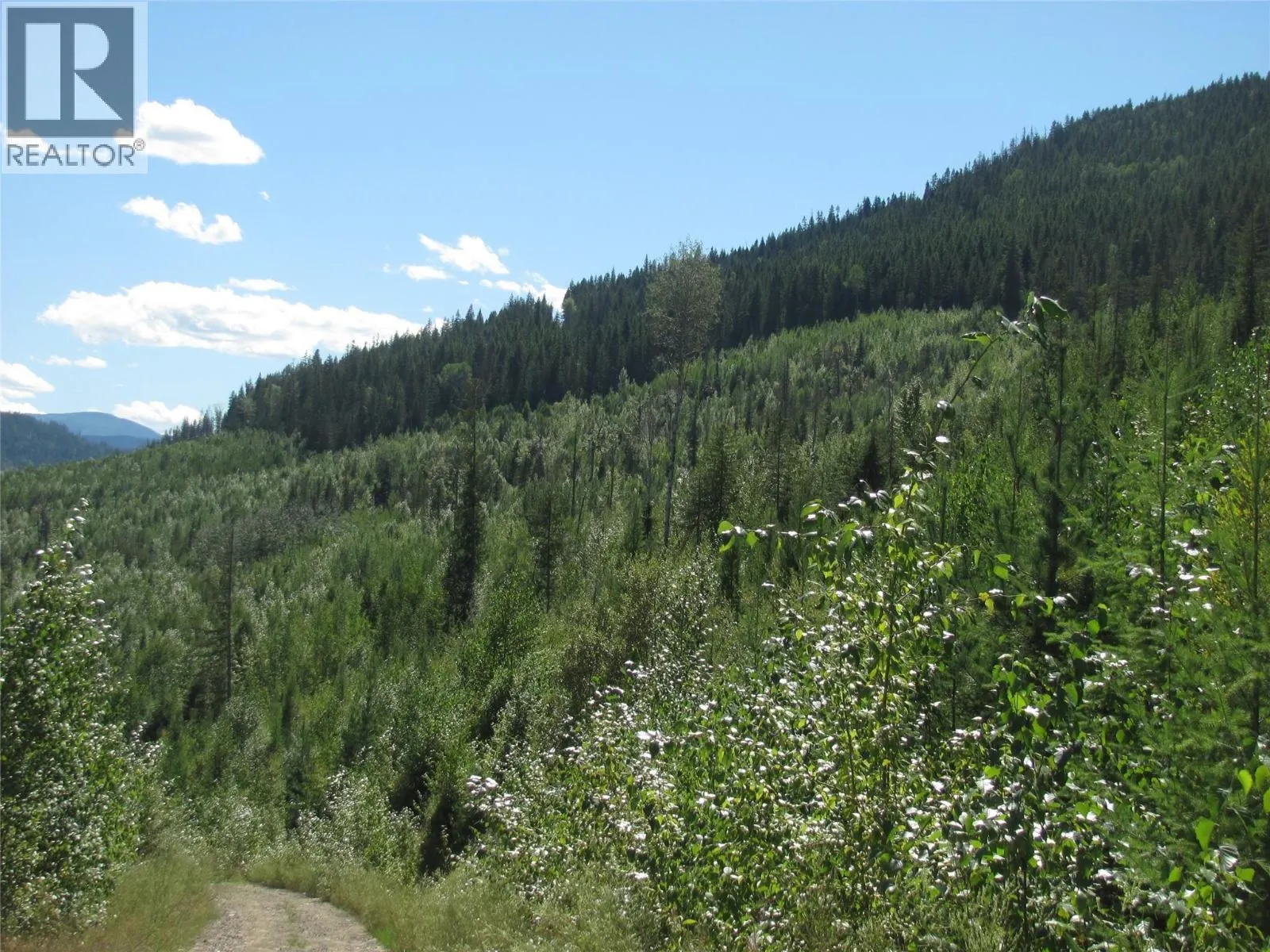 130Acres Sugar Lake-Sihlis Road