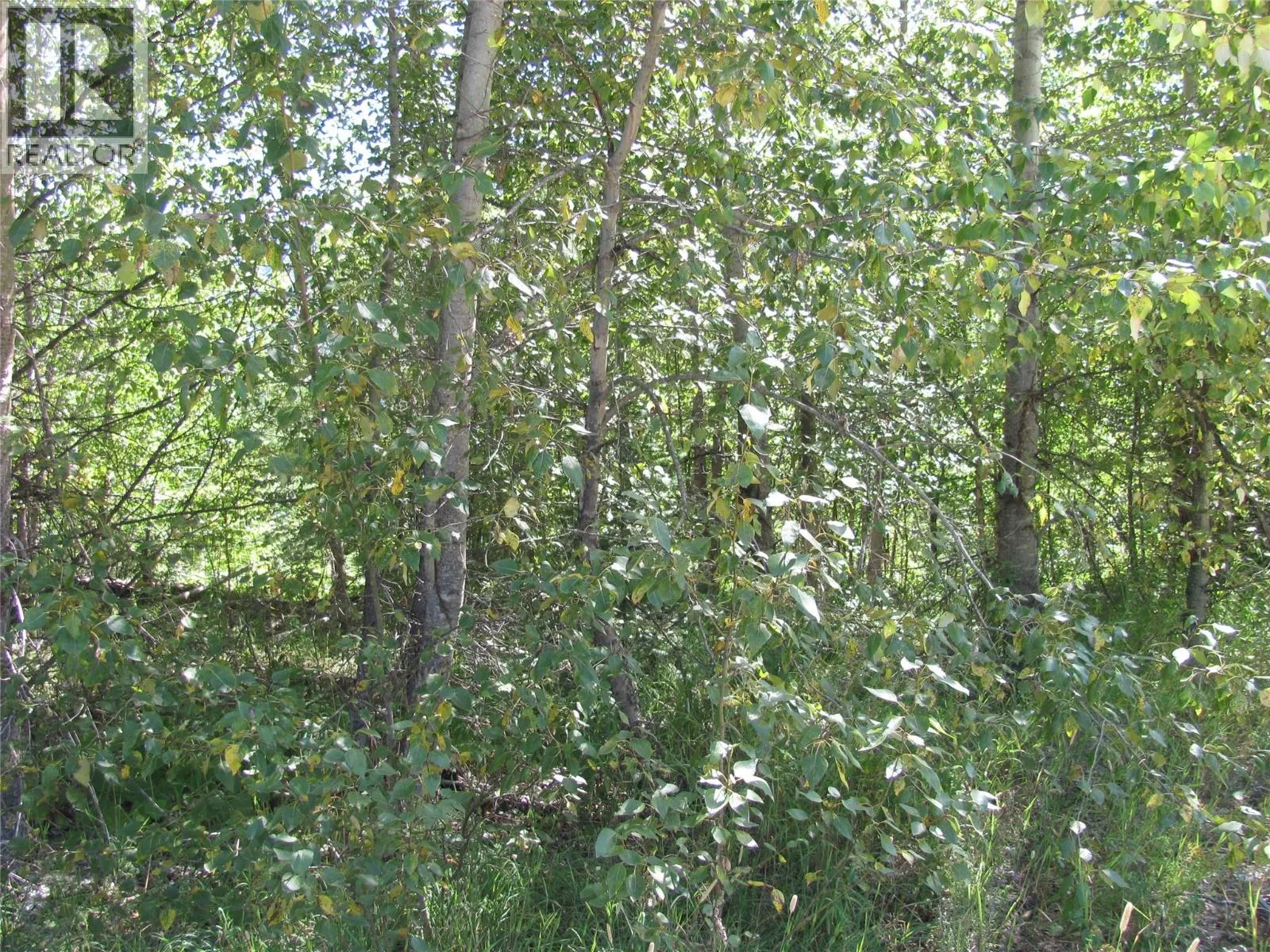 130Acres Sugar Lake-Sihlis Road