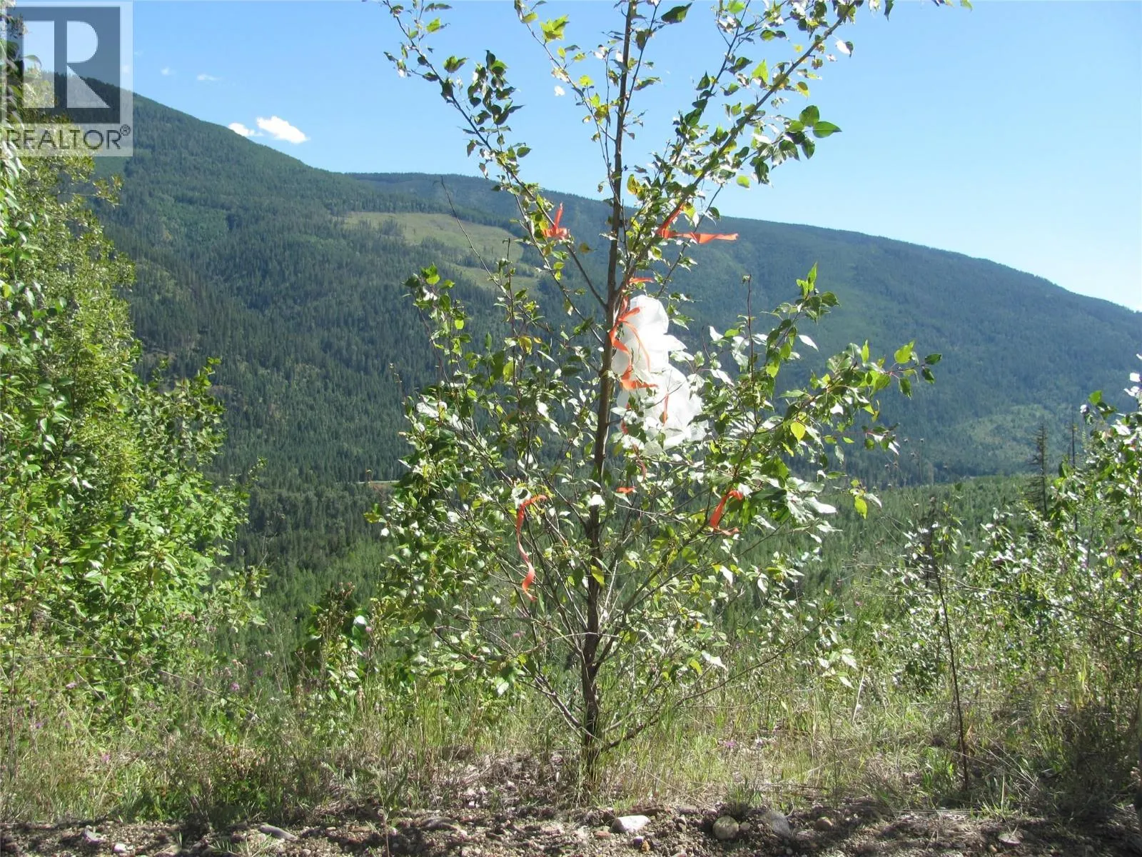 130Acres Sugar Lake-Sihlis Road