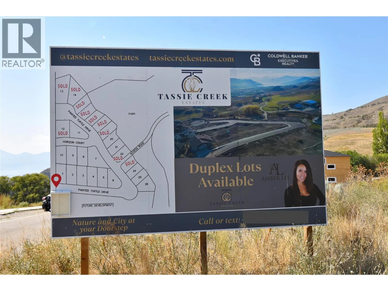 4317 Painted Turtle Drive