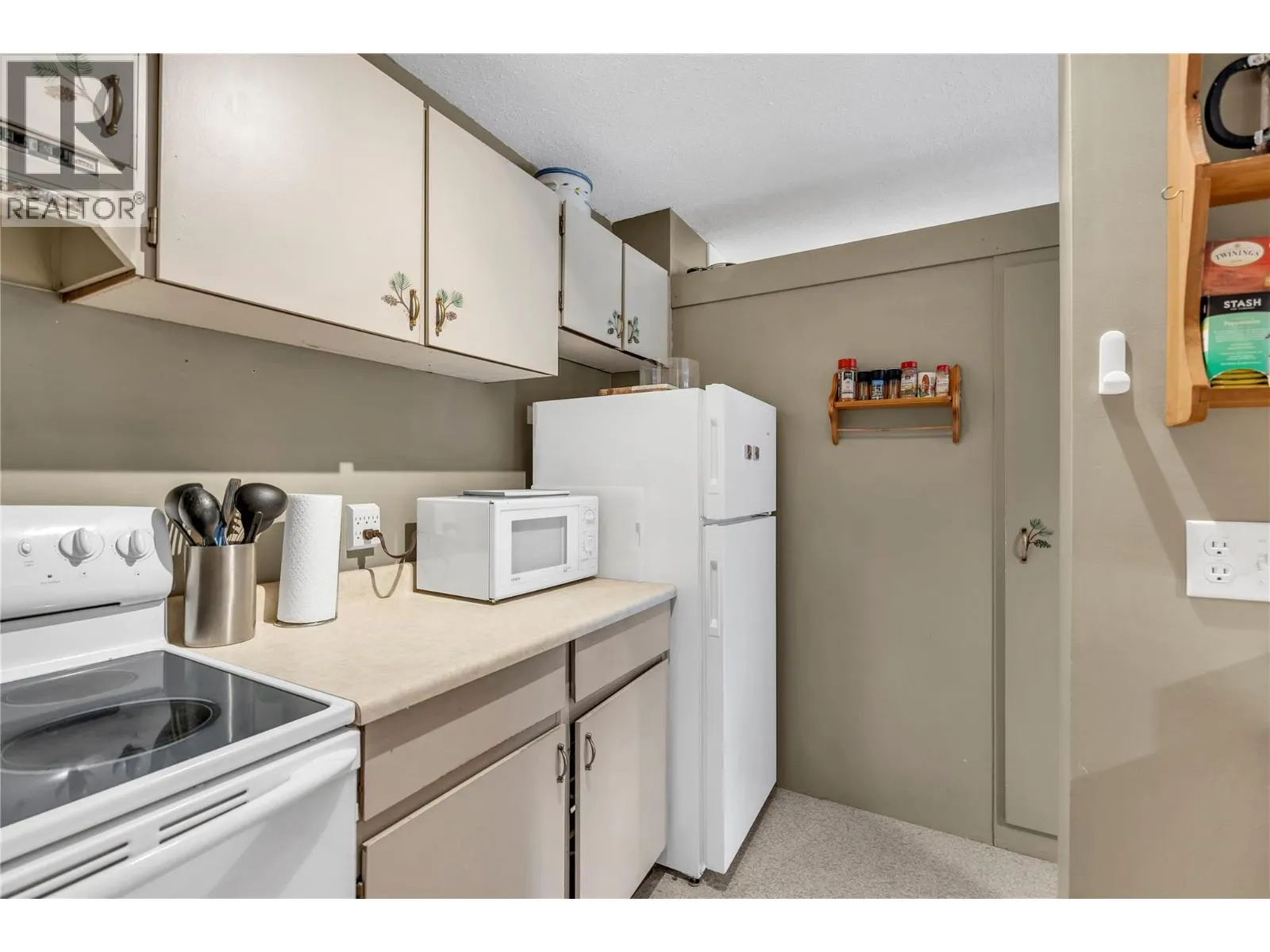 1191 Apex Mountain Road Unit# 206