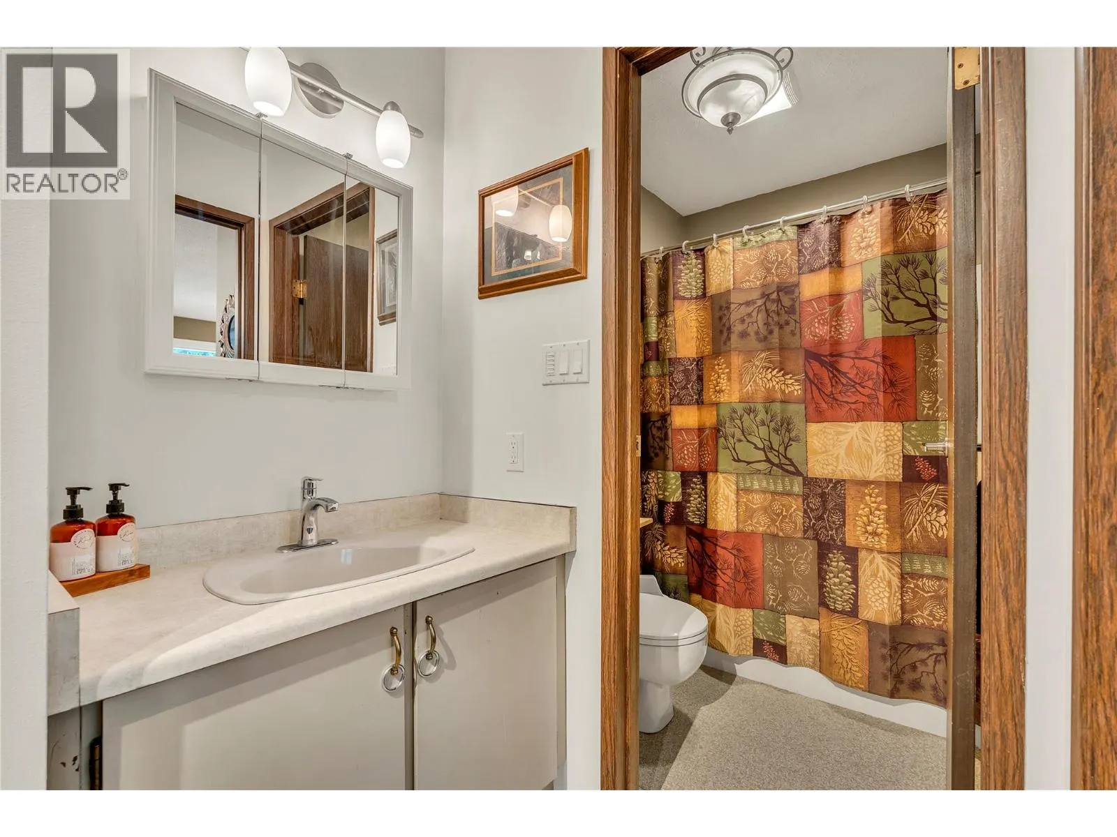 1191 Apex Mountain Road Unit# 206