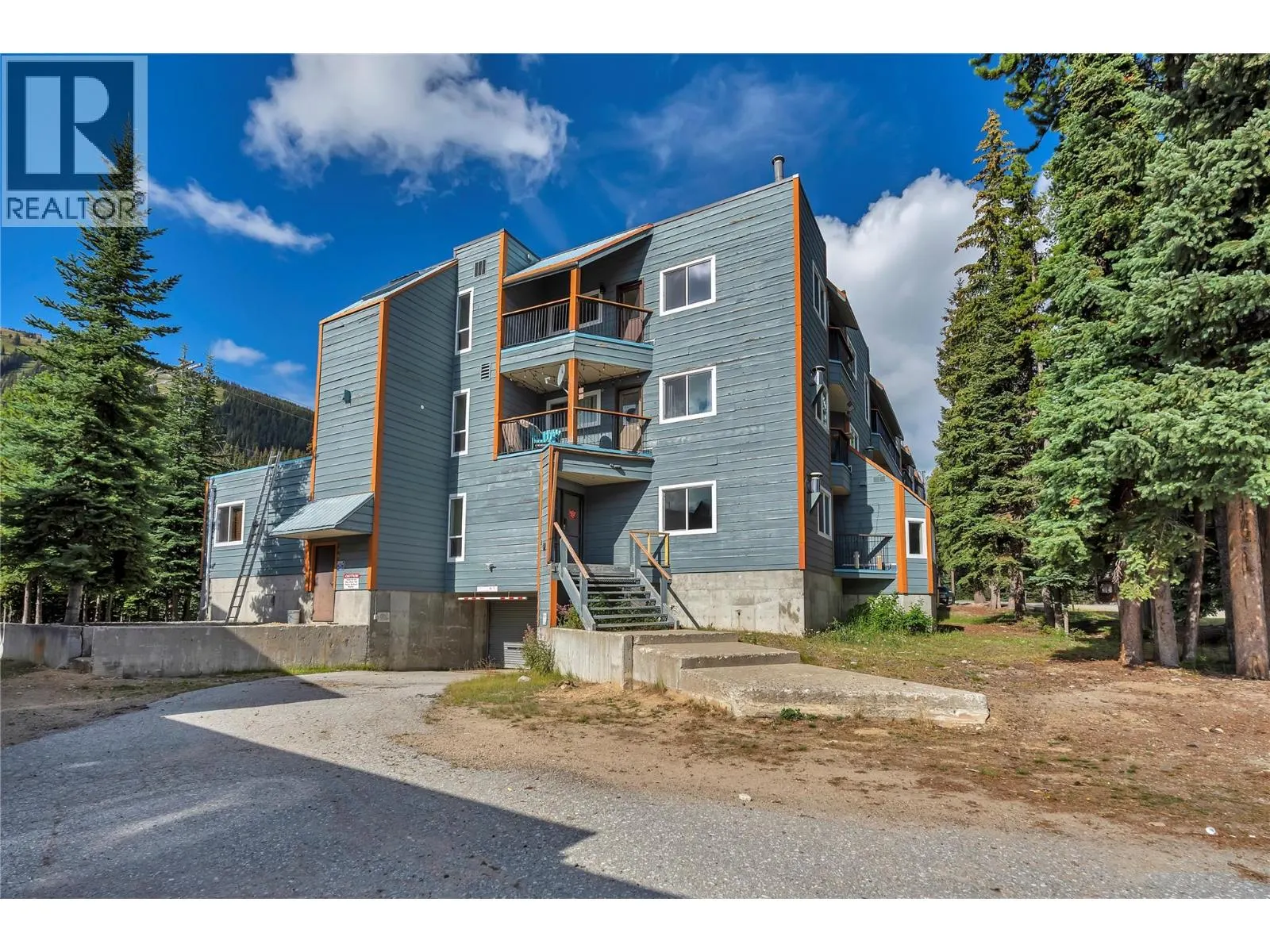 1191 Apex Mountain Road Unit# 206