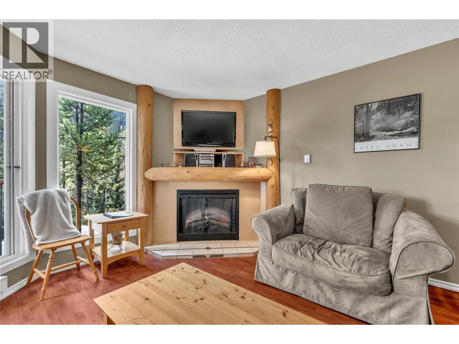 1191 Apex Mountain Road Unit# 206