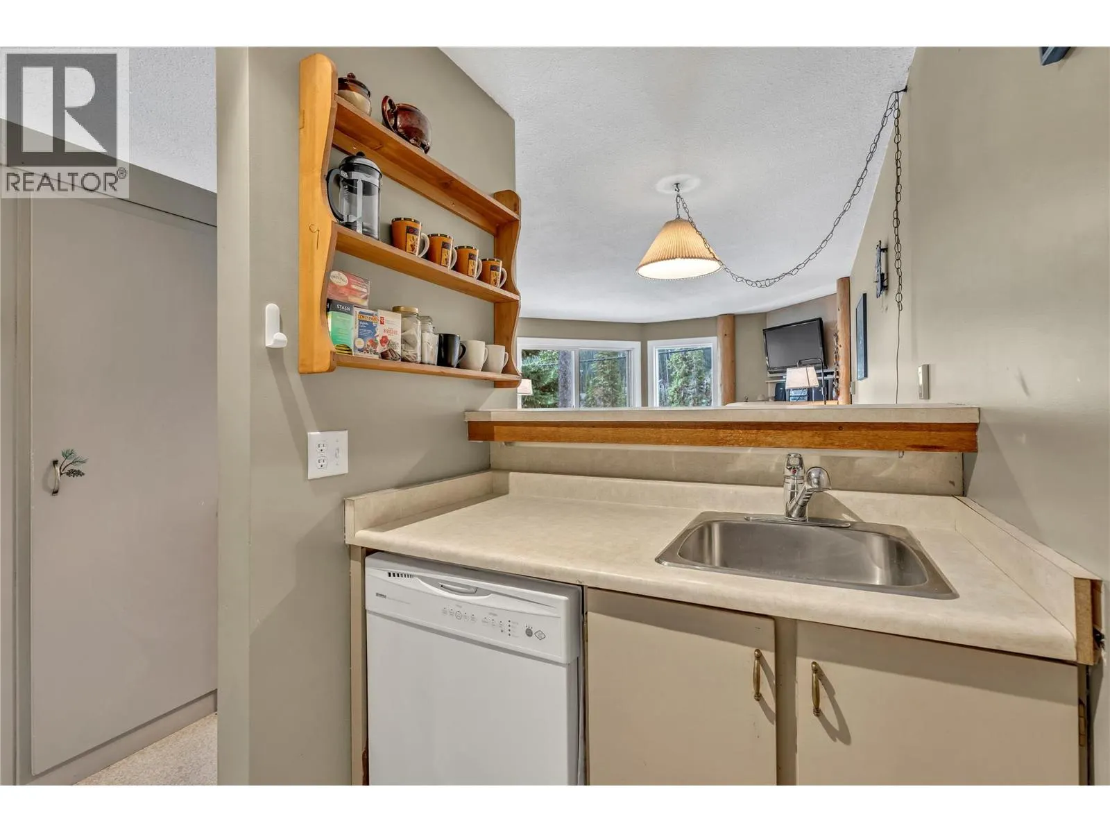 1191 Apex Mountain Road Unit# 206