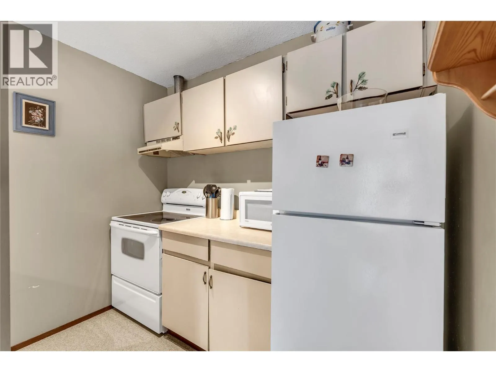 1191 Apex Mountain Road Unit# 206