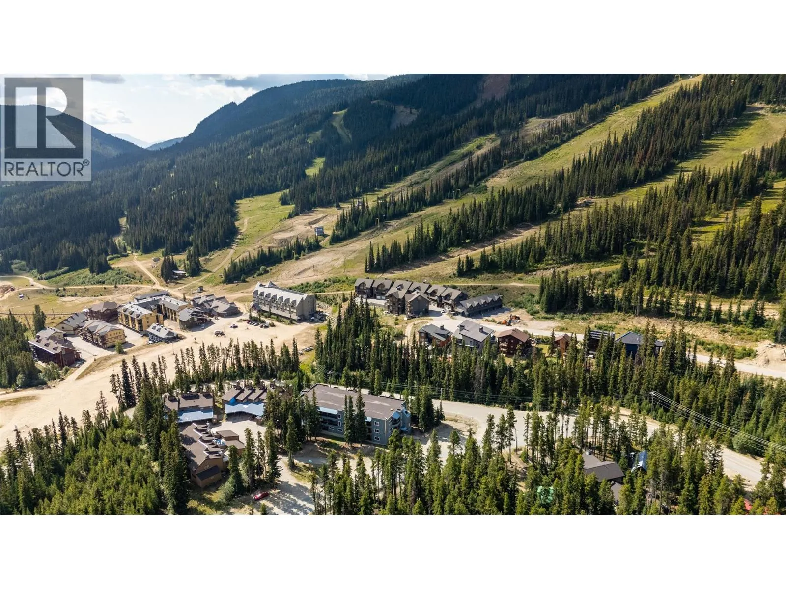 1191 Apex Mountain Road Unit# 206