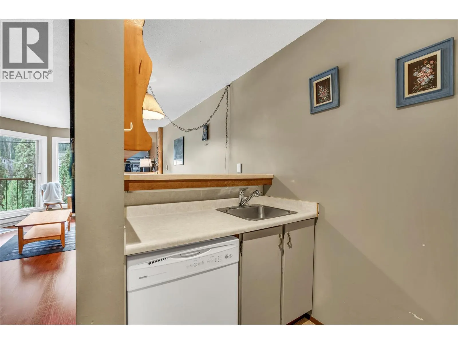1191 Apex Mountain Road Unit# 206