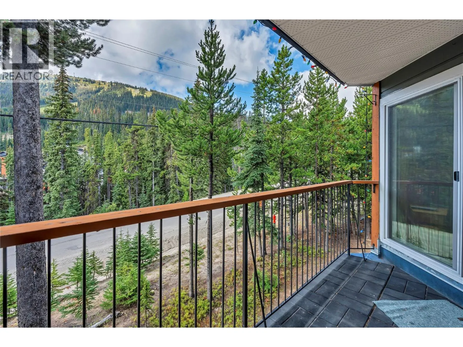 1191 Apex Mountain Road Unit# 206