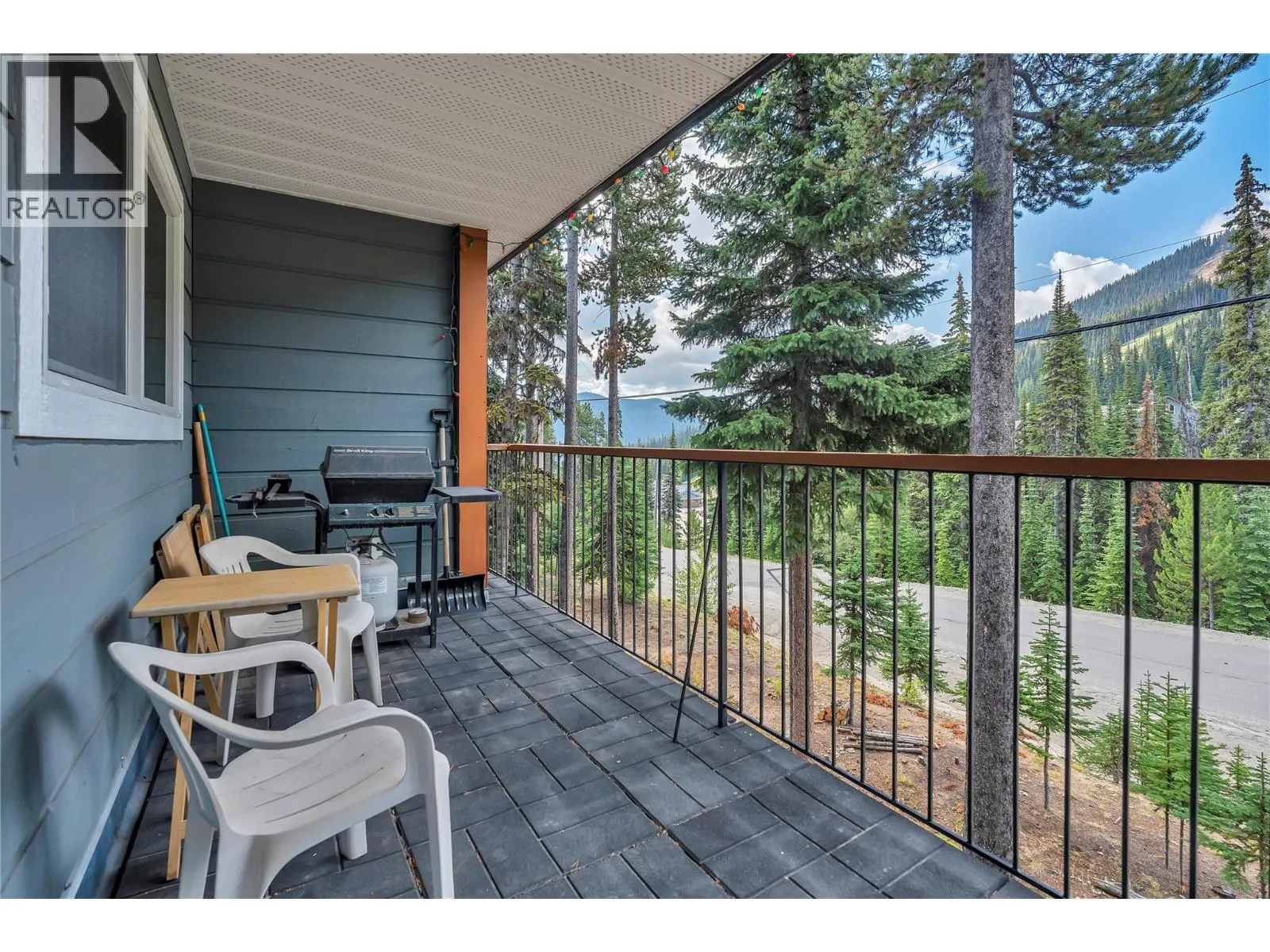 1191 Apex Mountain Road Unit# 206