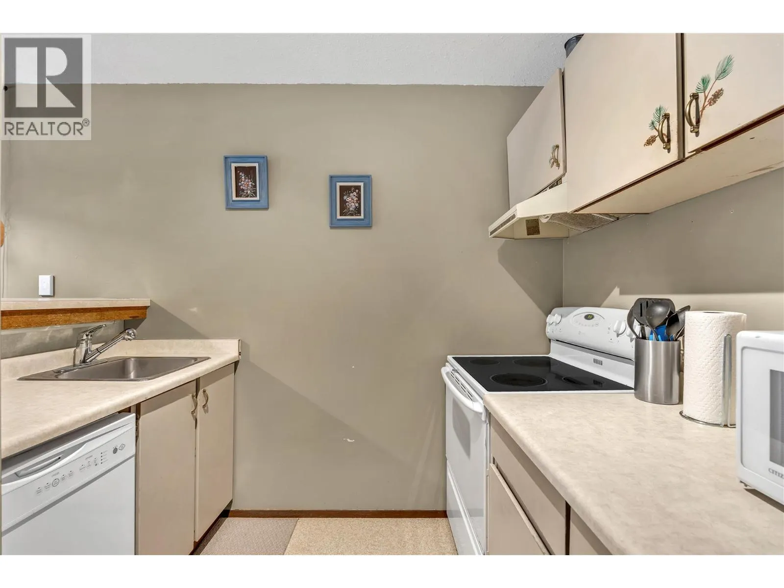 1191 Apex Mountain Road Unit# 206