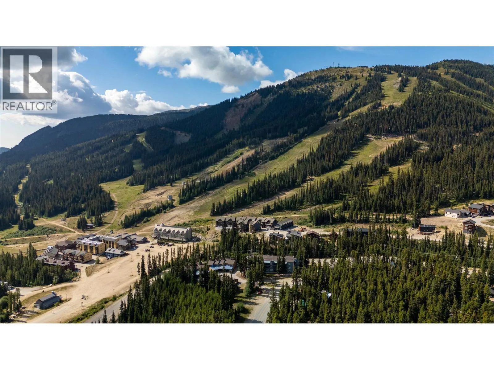 1191 Apex Mountain Road Unit# 206