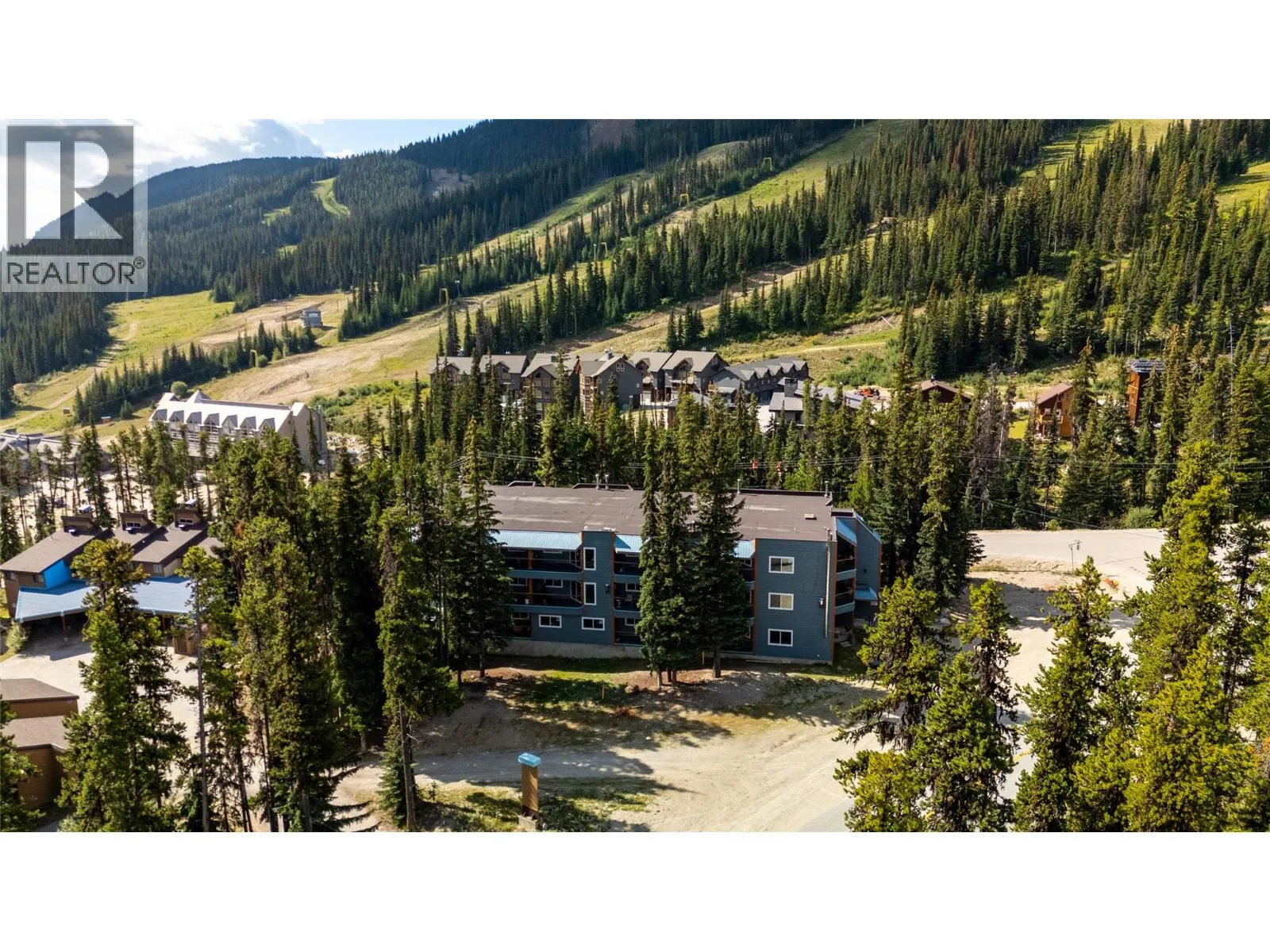 1191 Apex Mountain Road Unit# 206