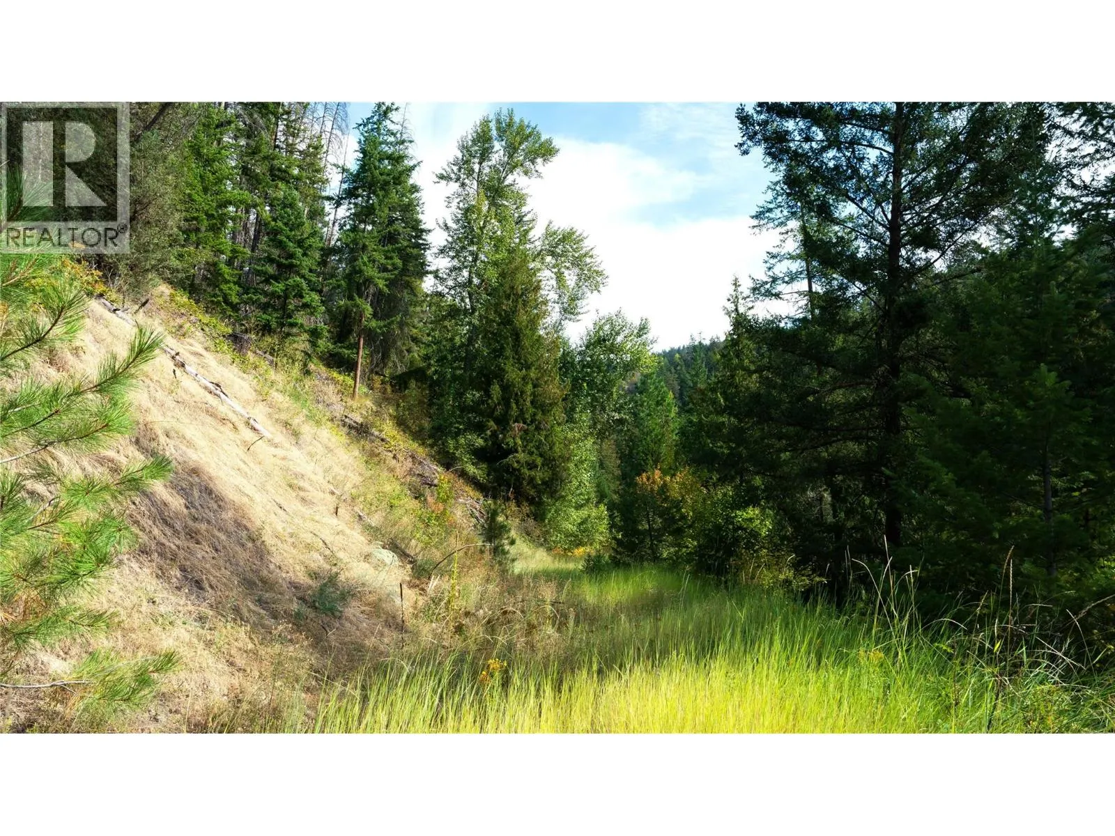 Lot 1 Hwy 33 Highway E
