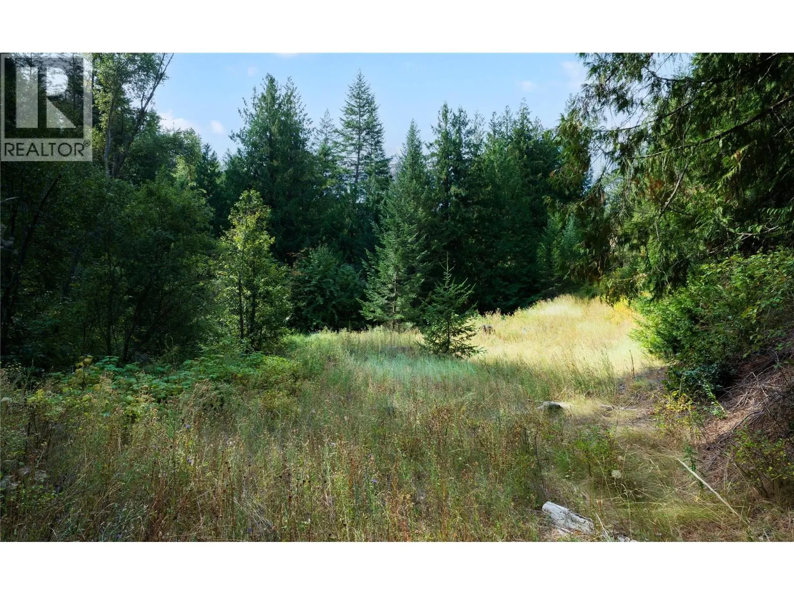 Lot 1 Hwy 33 Highway E