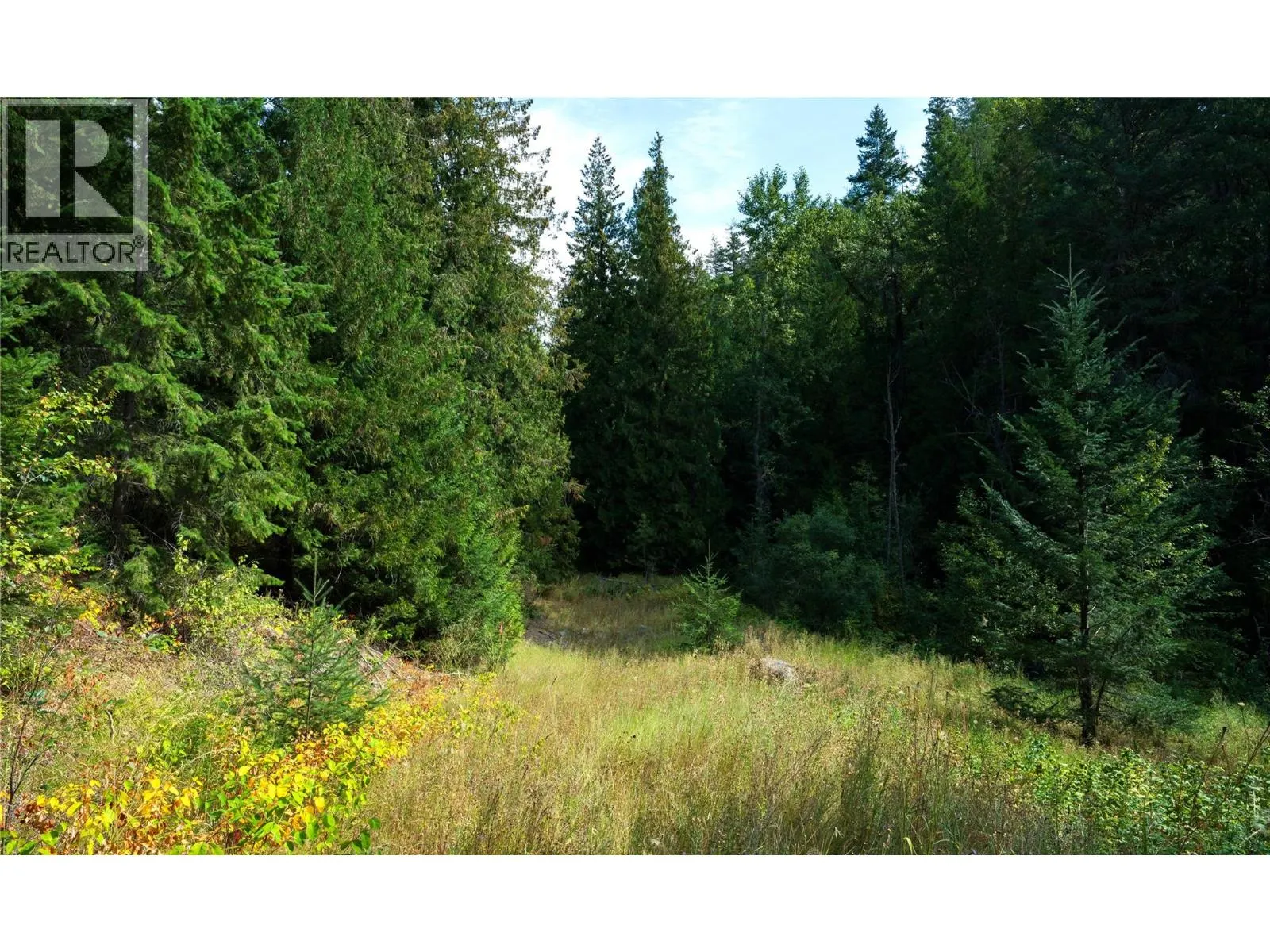 Lot 1 Hwy 33 Highway E