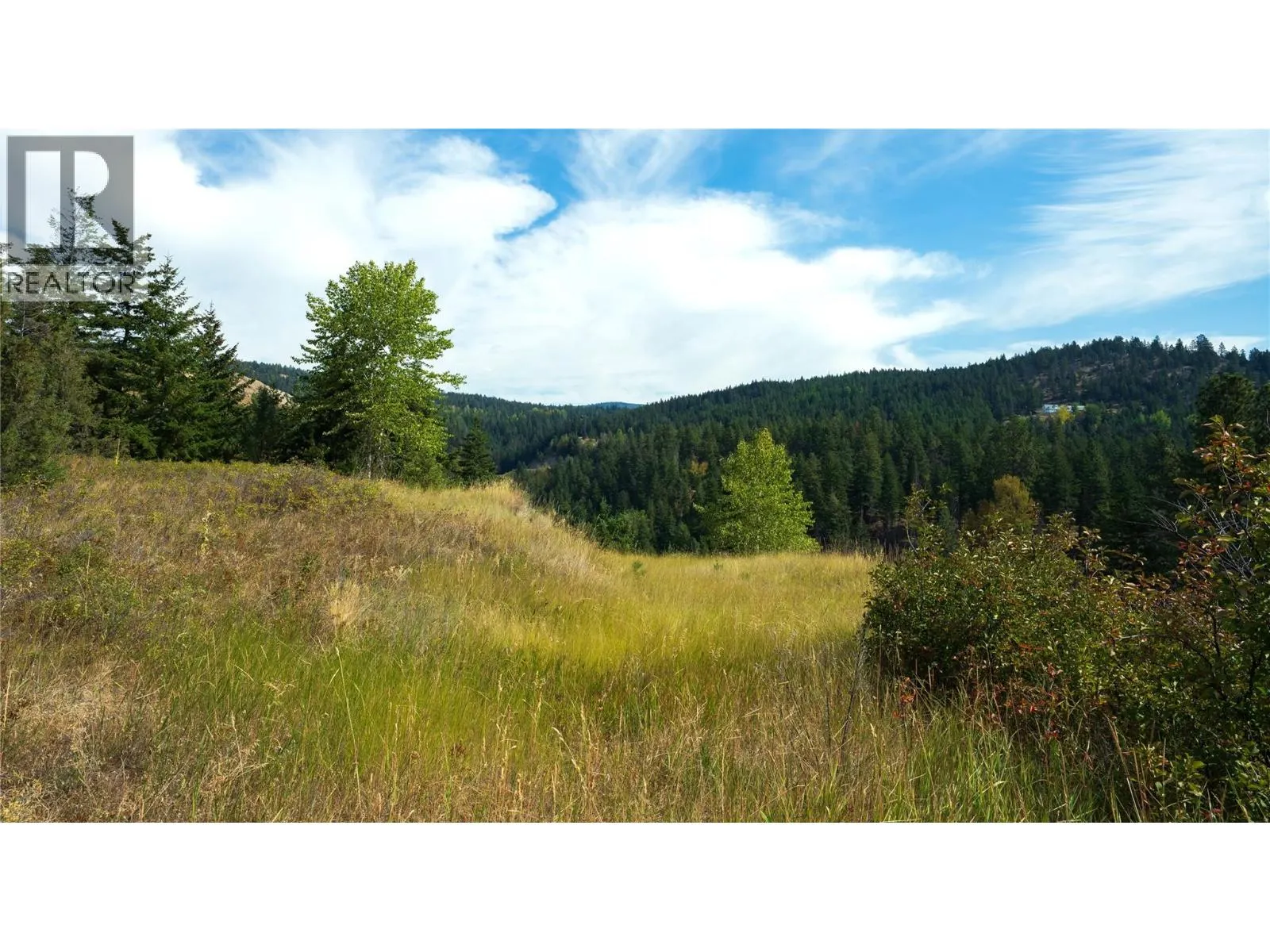 Lot 1 Hwy 33 Highway E