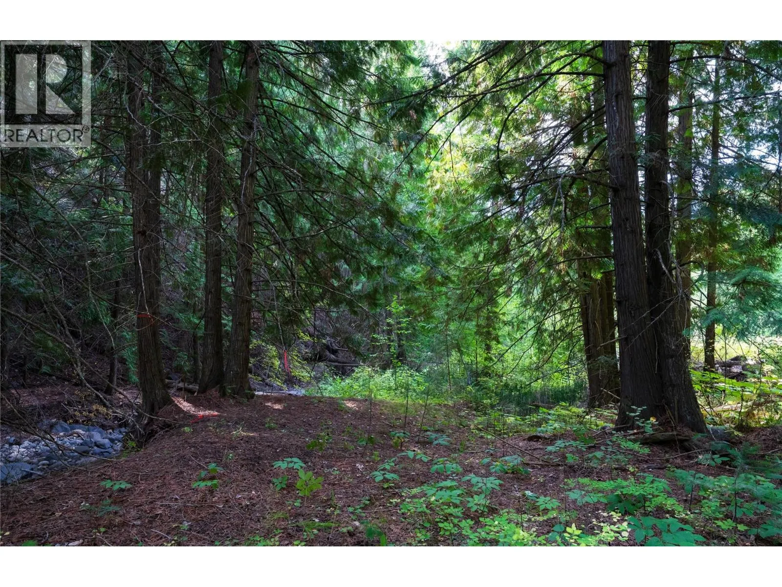 Lot 1 Hwy 33 Highway E