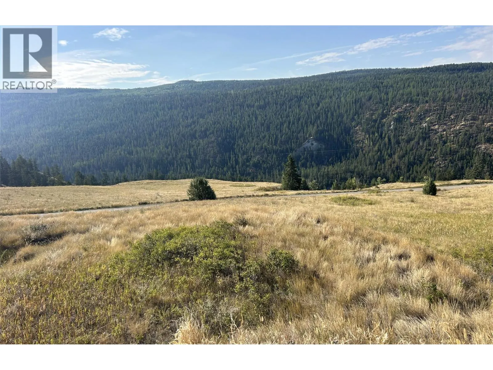 Lot 1 Hwy 33 Highway E