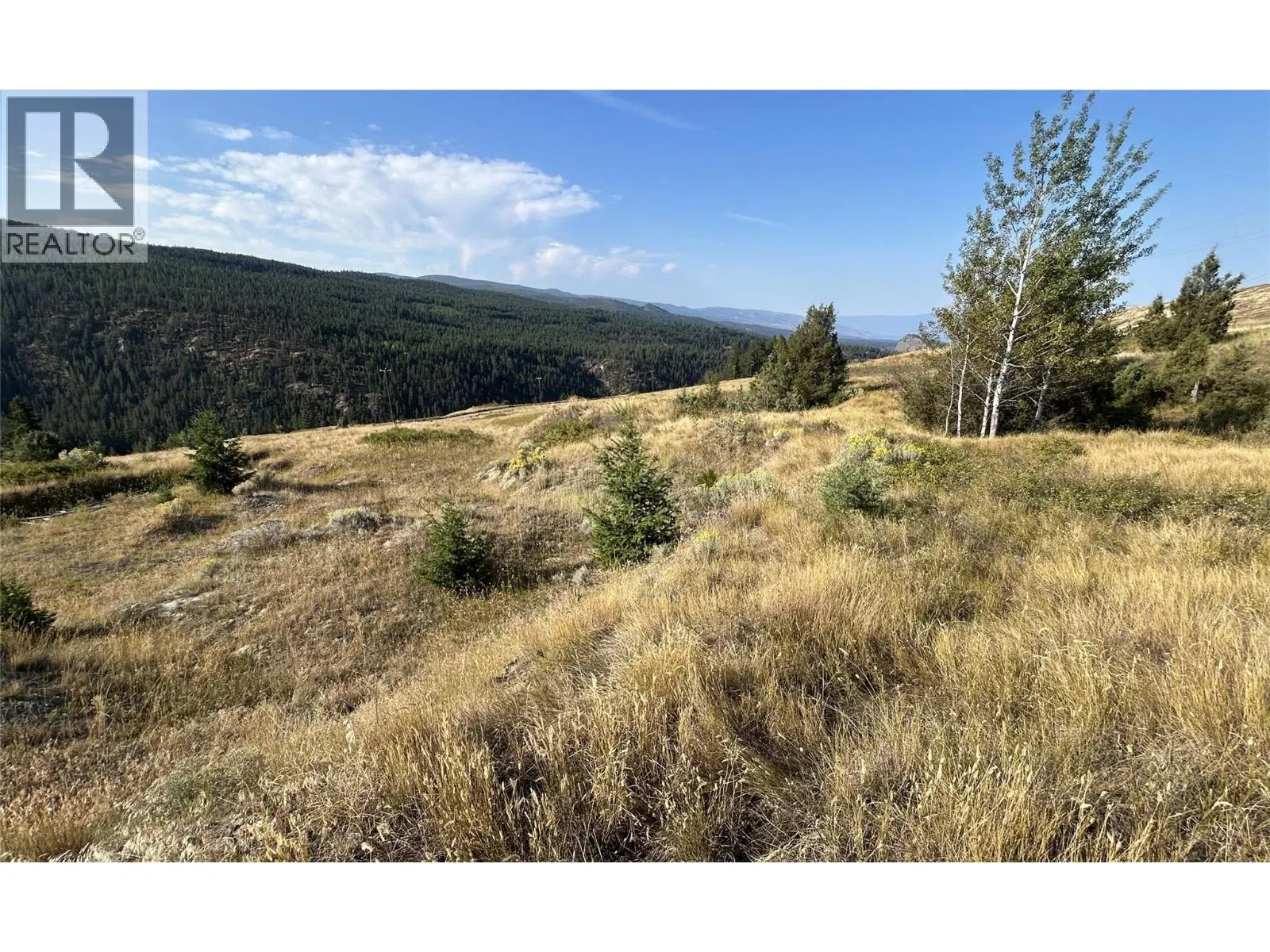 Lot 1 Hwy 33 Highway E