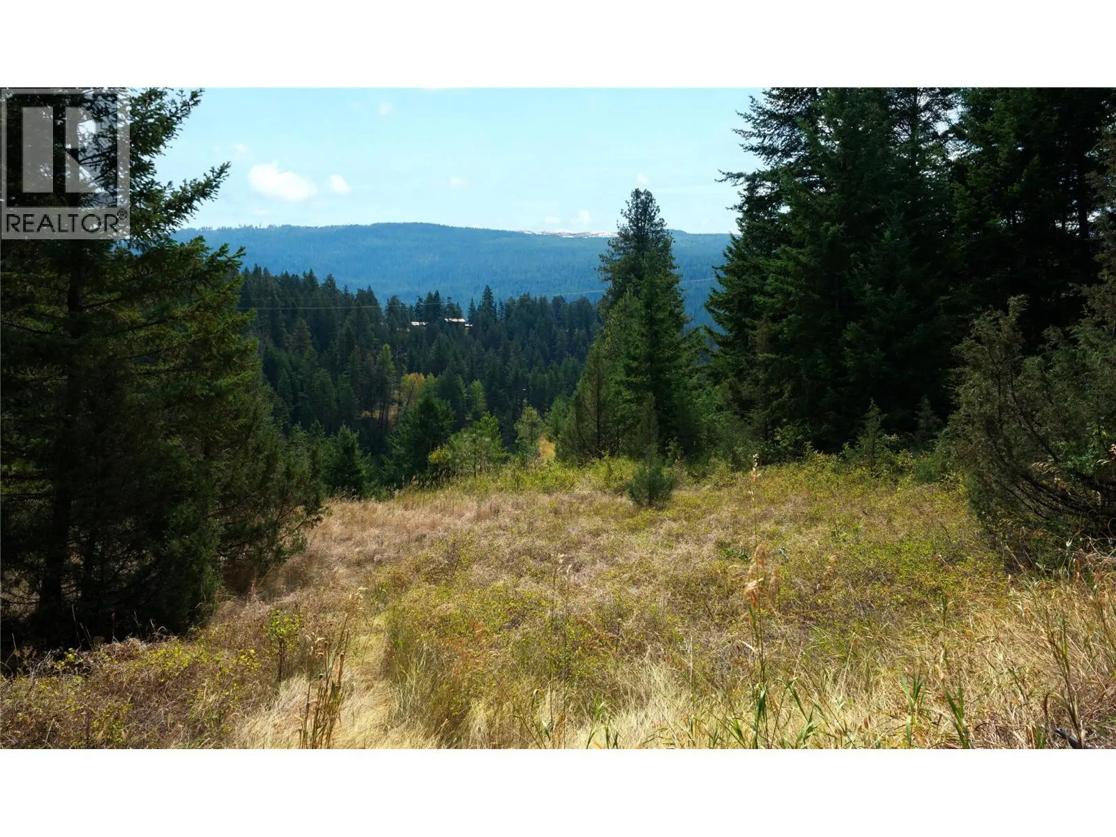 Lot 1 Hwy 33 Highway E