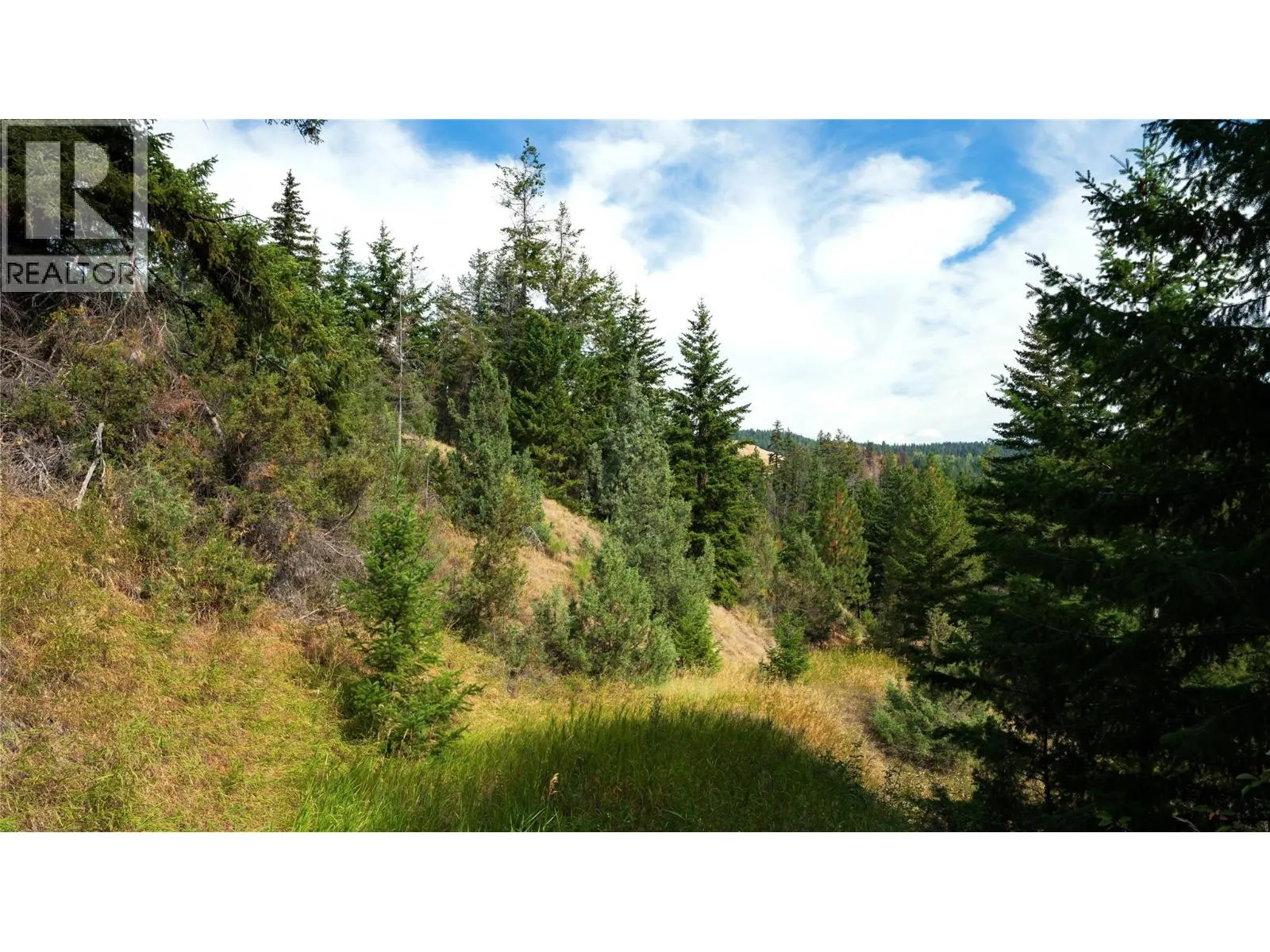 Lot 1 Hwy 33 Highway E