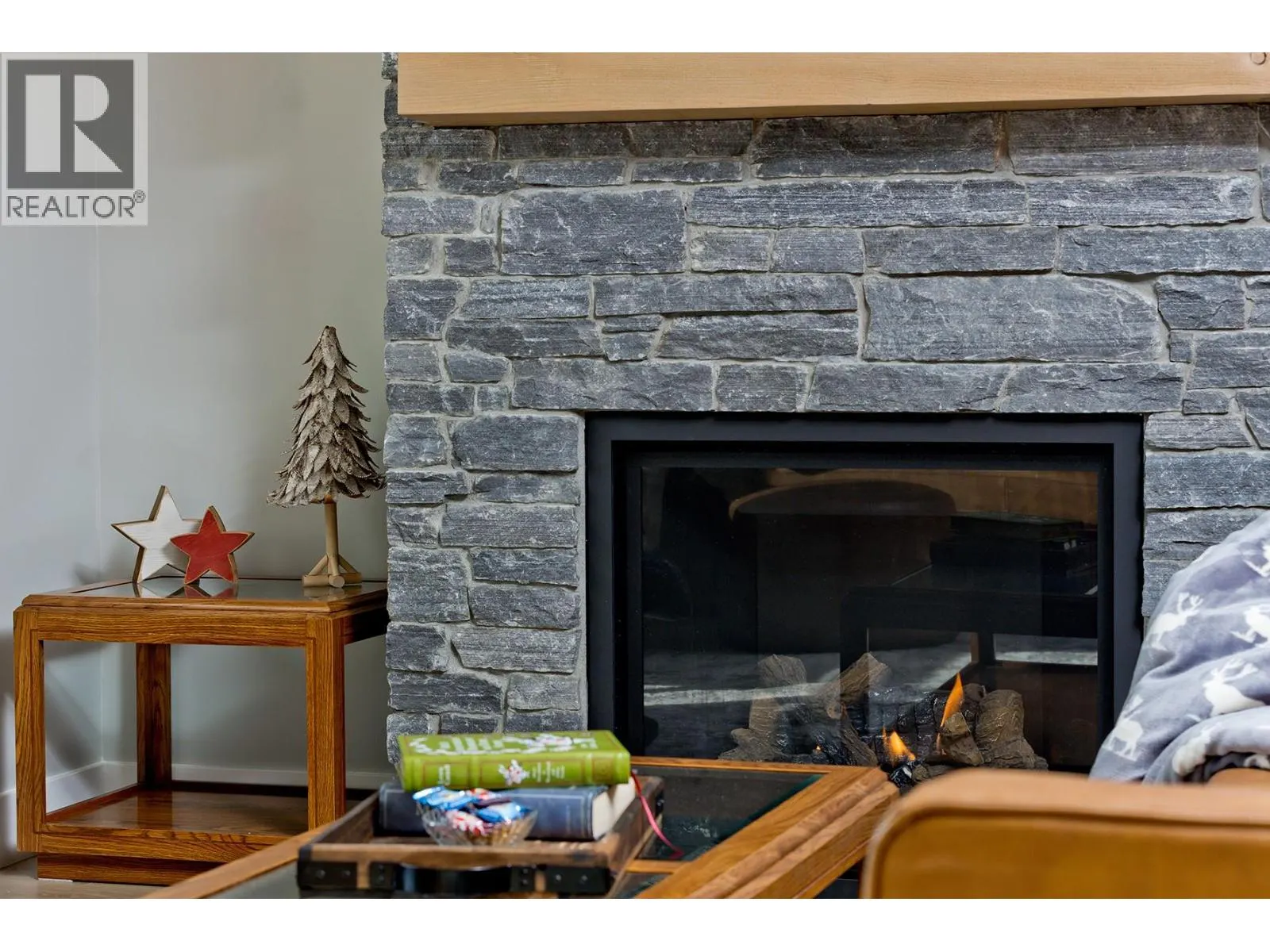 120 Grizzly Ridge Trail Unit# 12