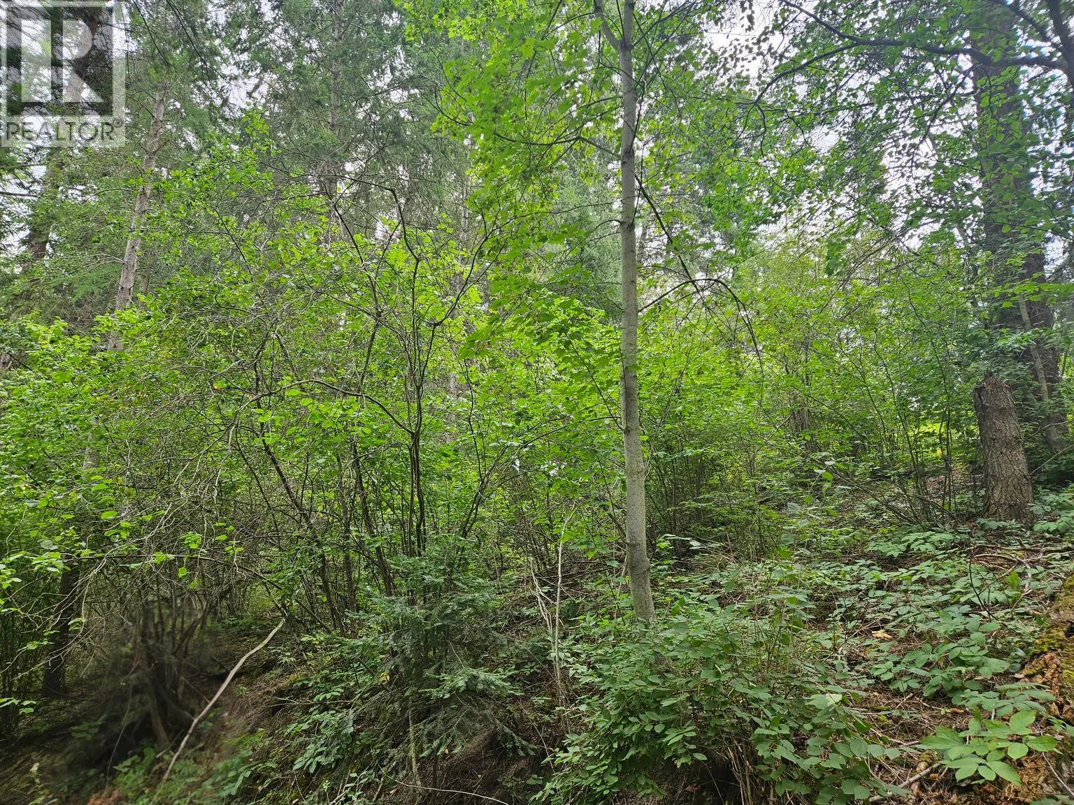 588 HAGEY Road