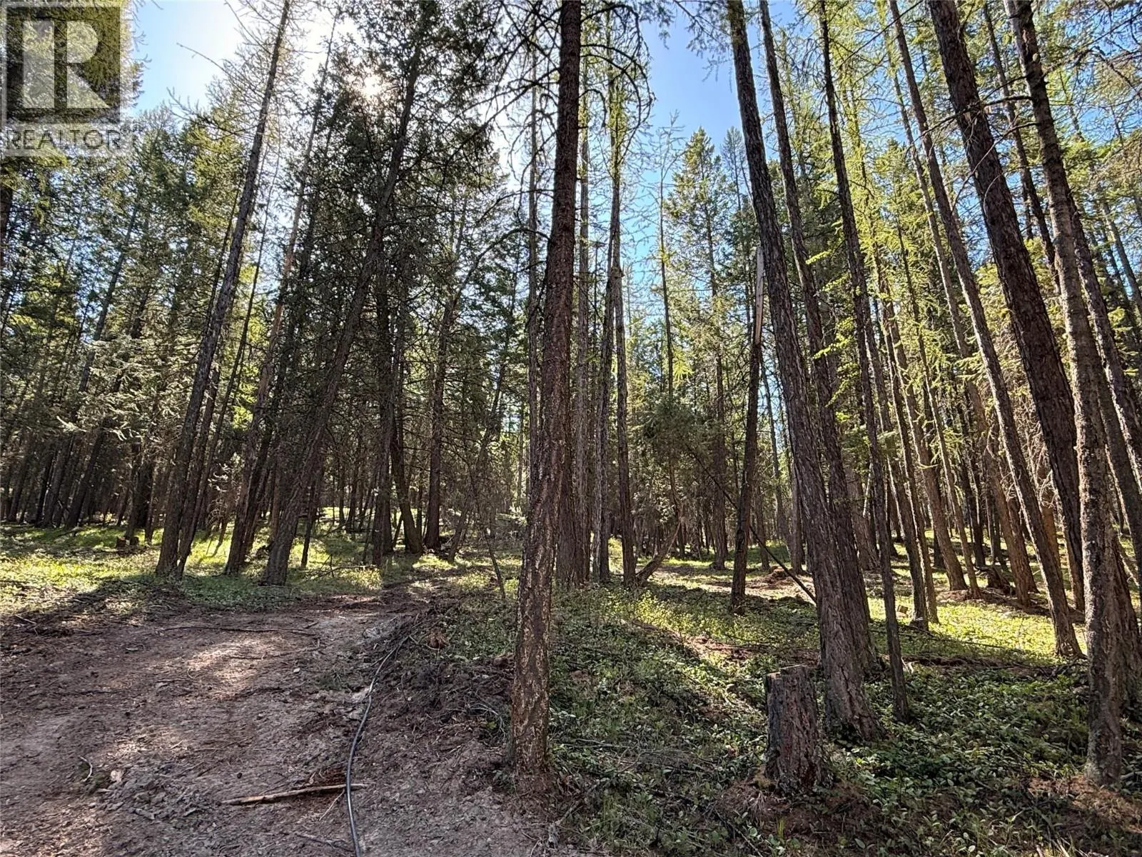 785 Silver Creek Road