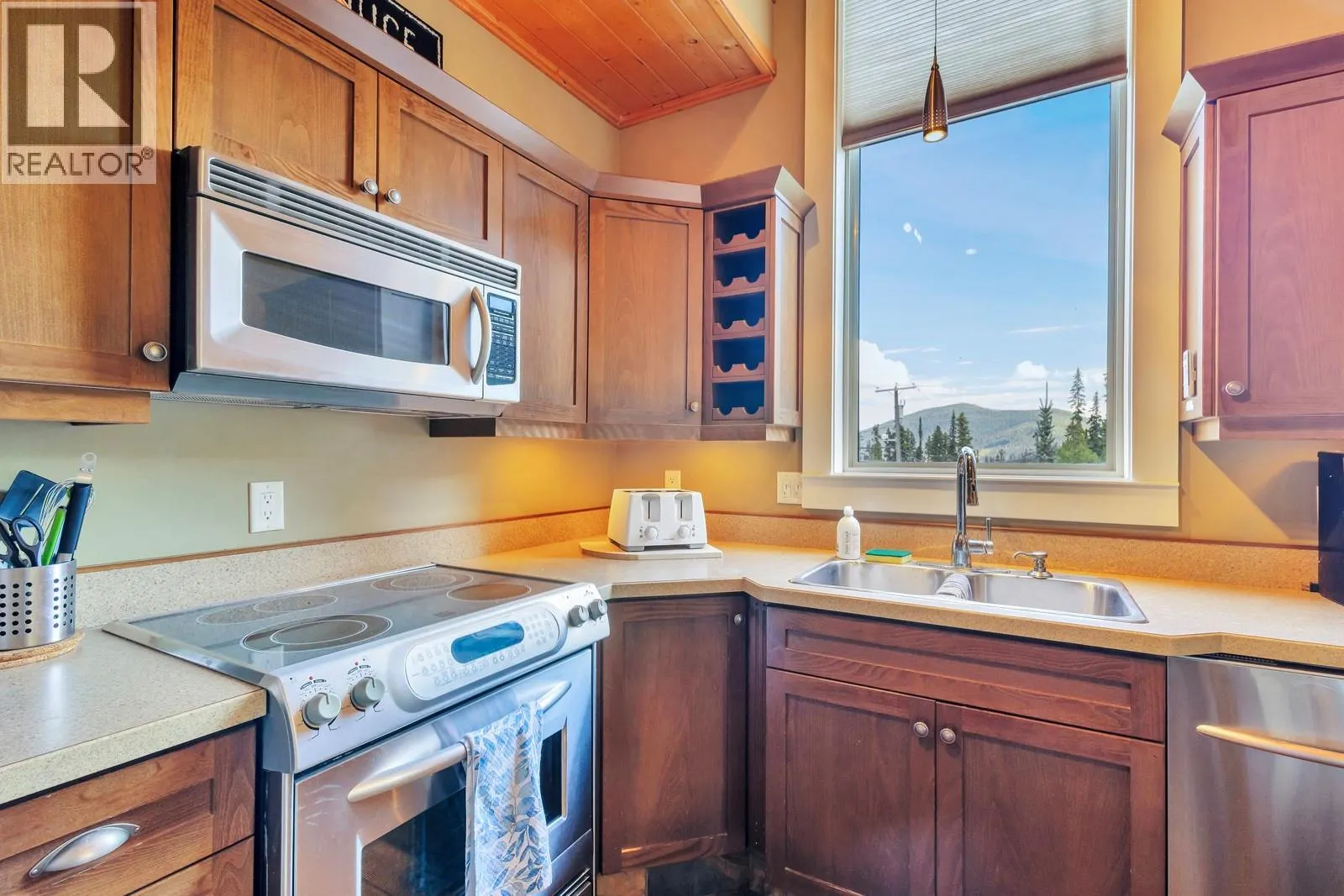1211 APEX MOUNTAIN Road Unit# 1