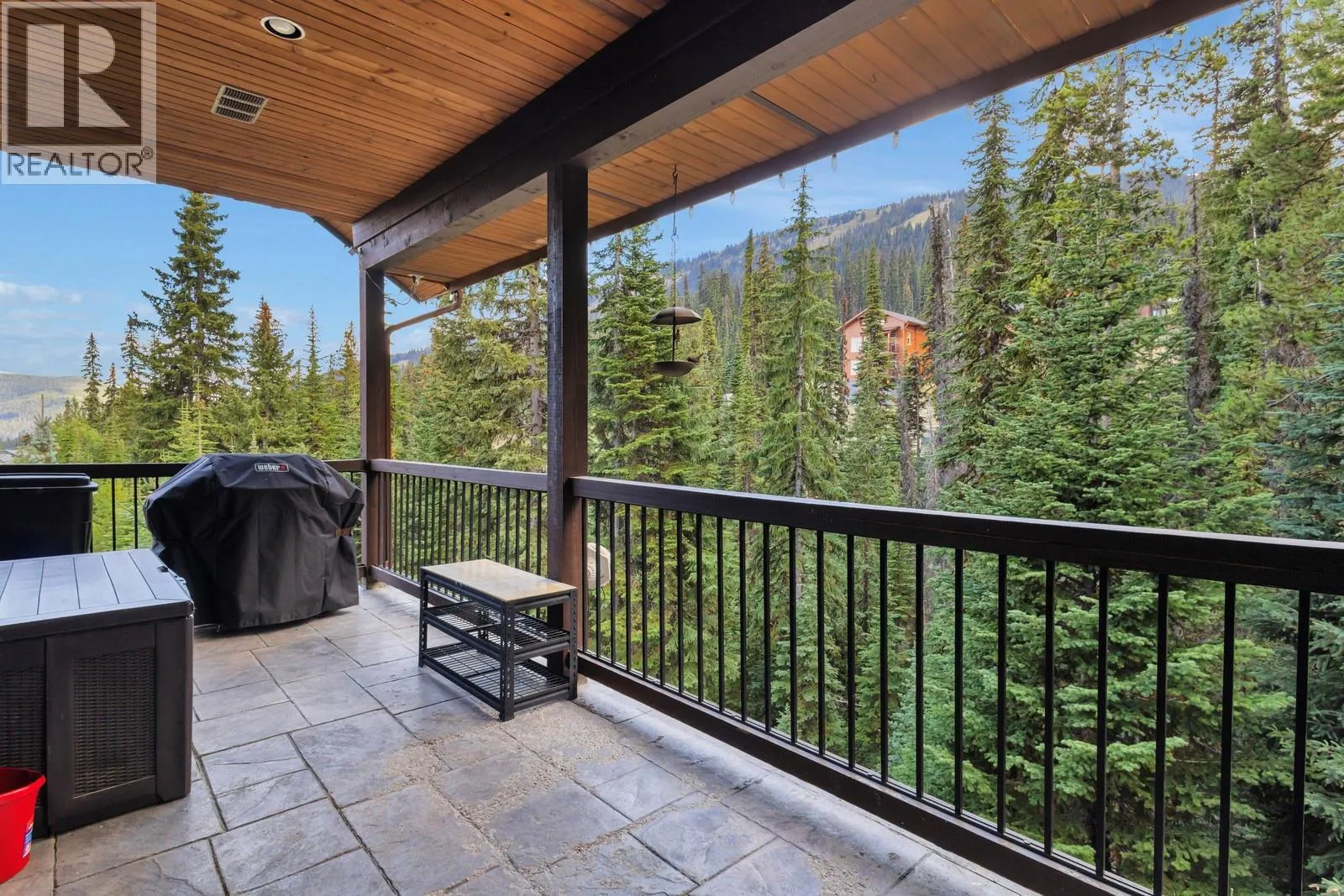 1211 APEX MOUNTAIN Road Unit# 1