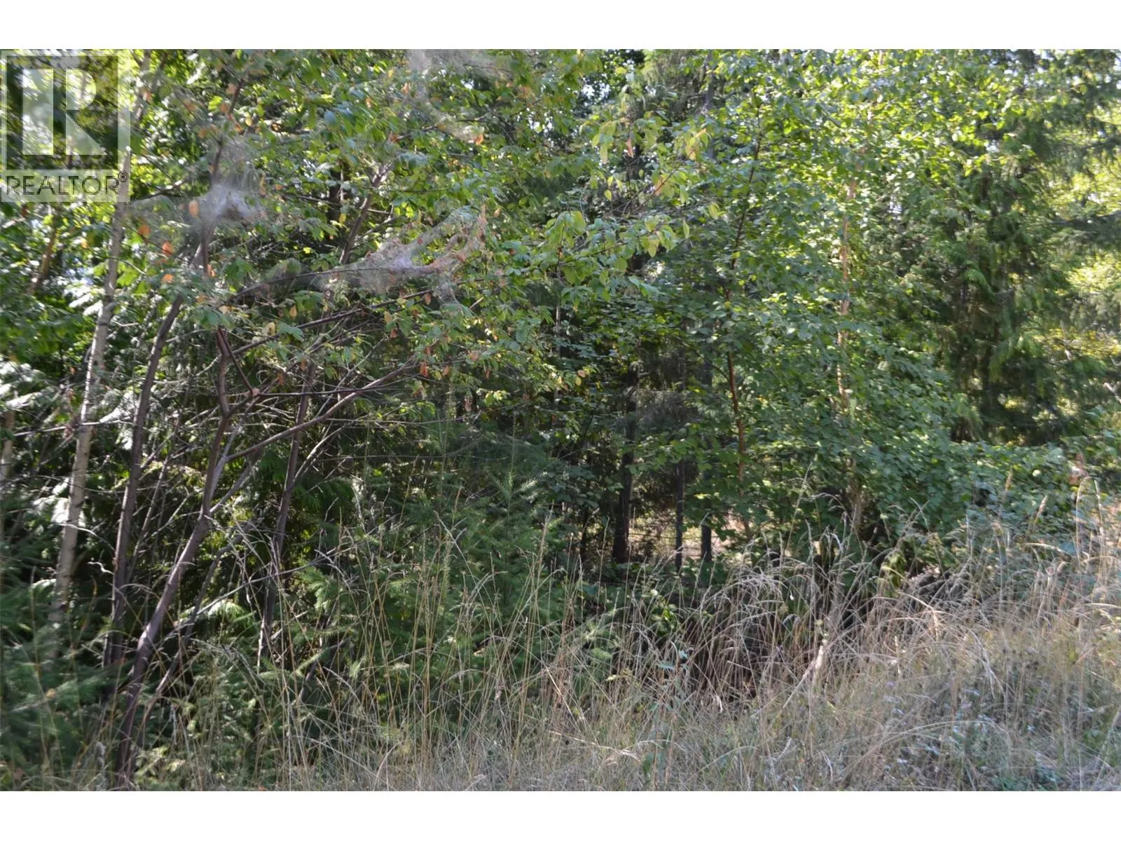 Fraser Road Lot# 59