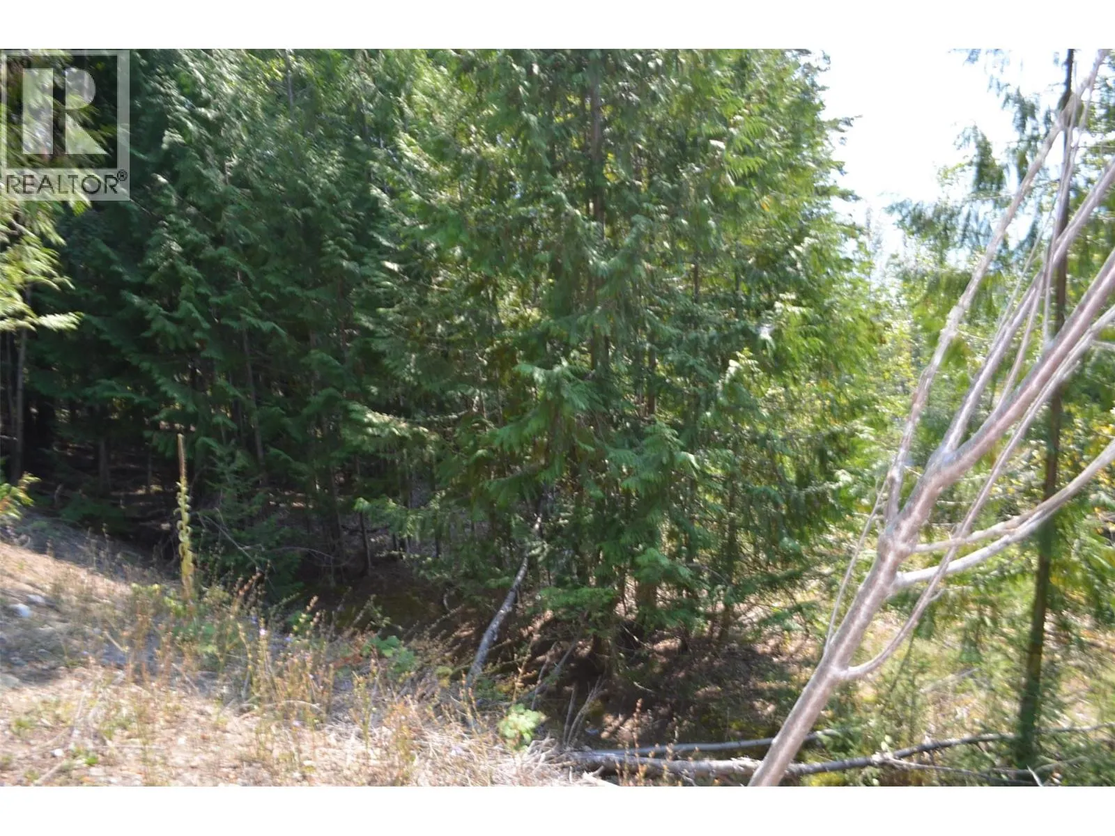 Fraser Road Lot# 59