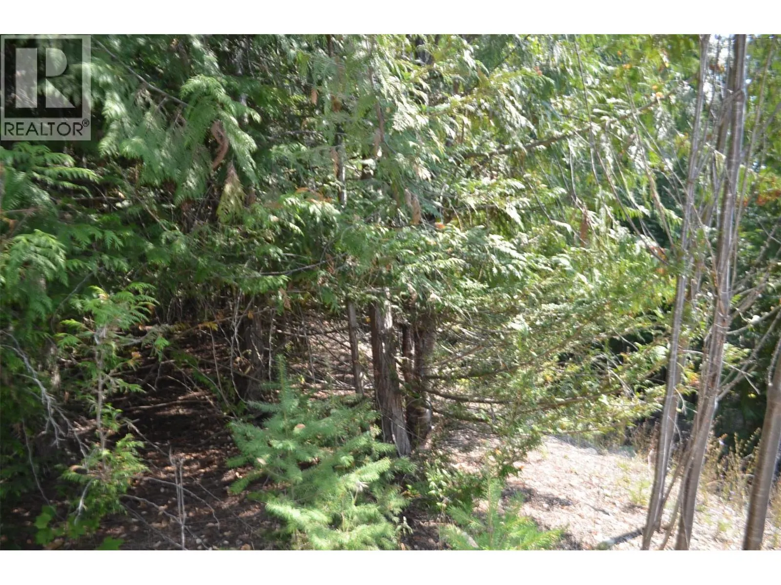 Fraser Road Lot# 59