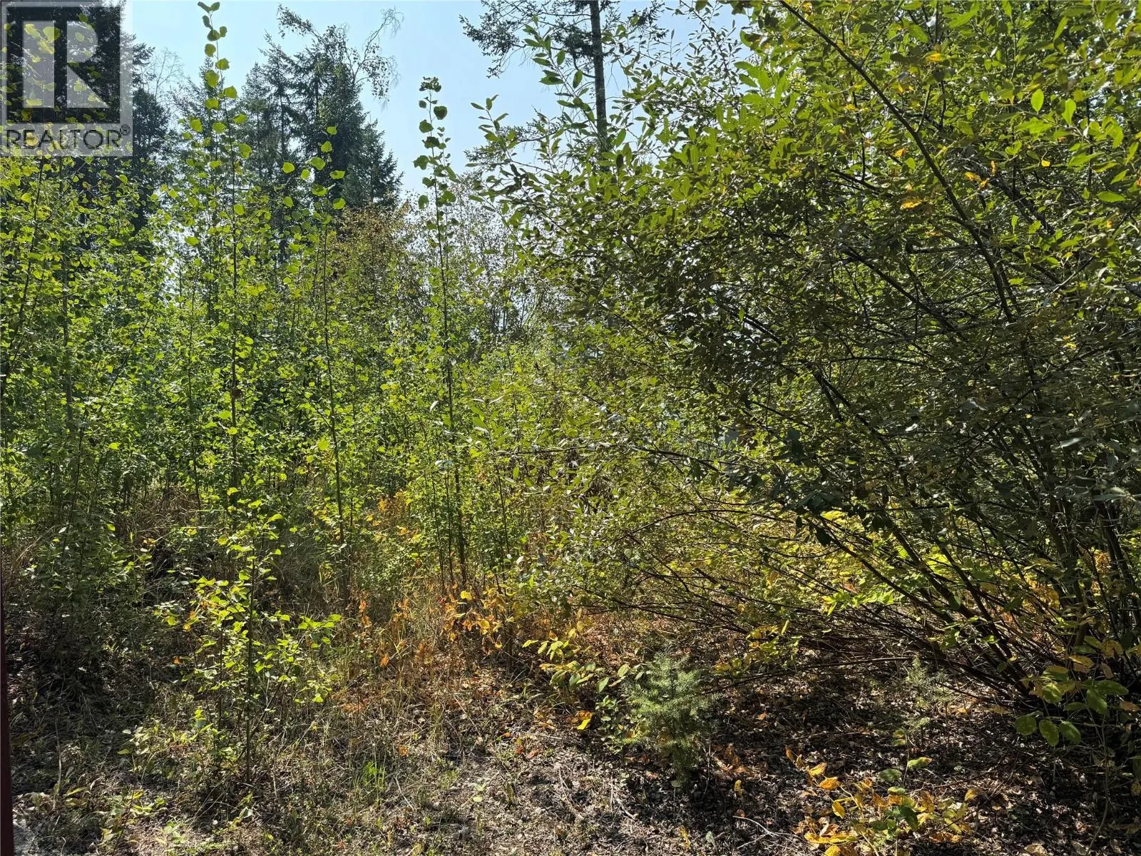 842 Almberg Road Almberg Road Unit# Proposed Lot 2