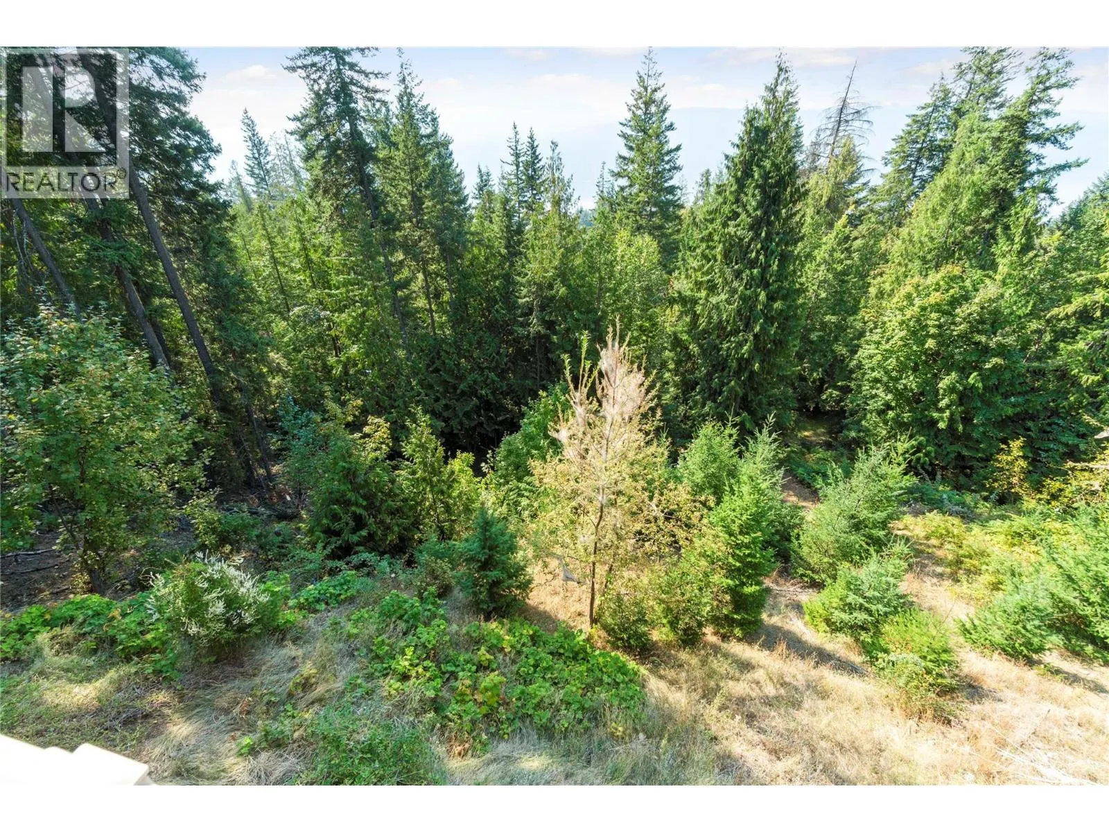 7666 Lichen Road