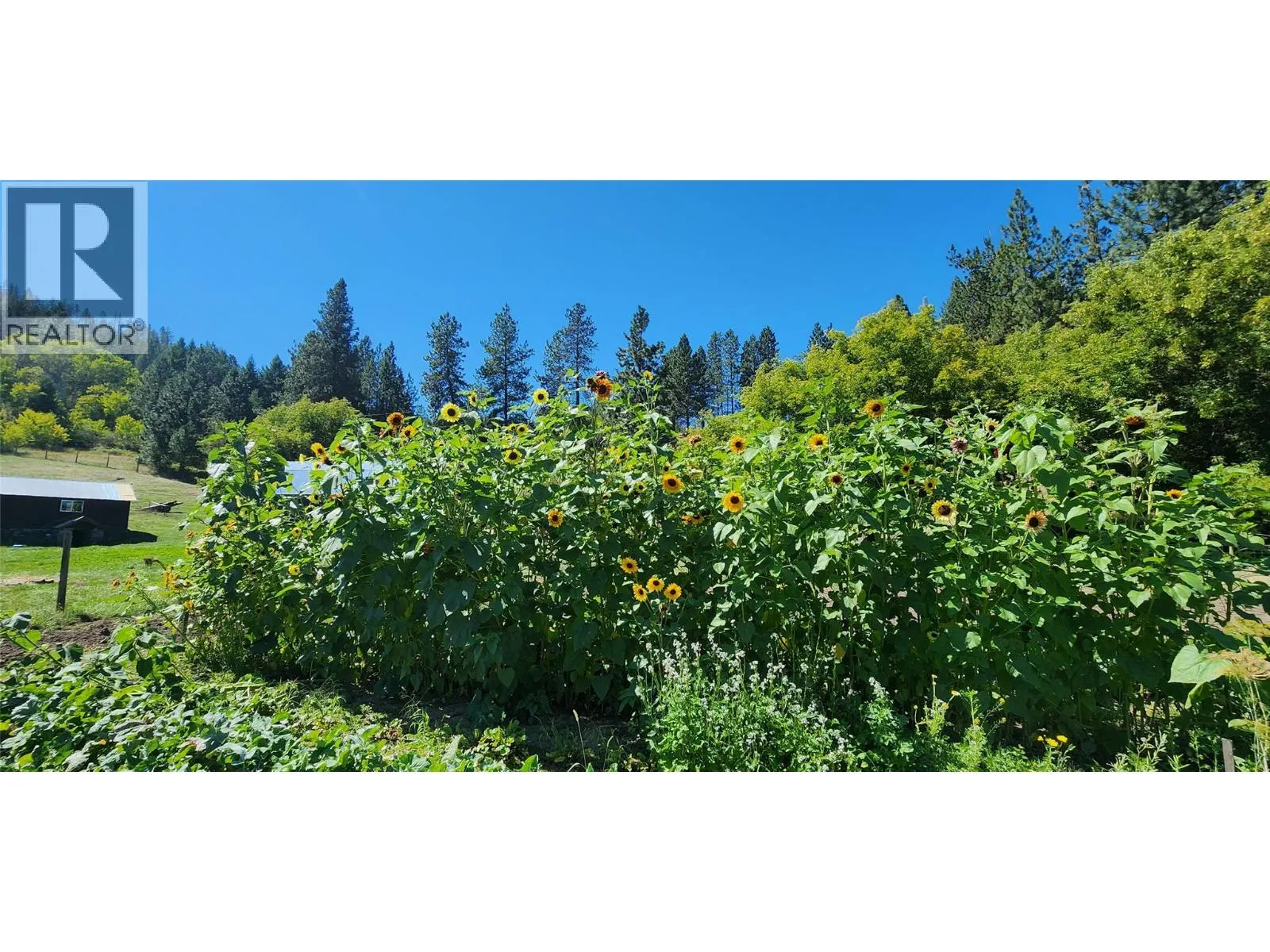 3450 Hardy Mountain Road