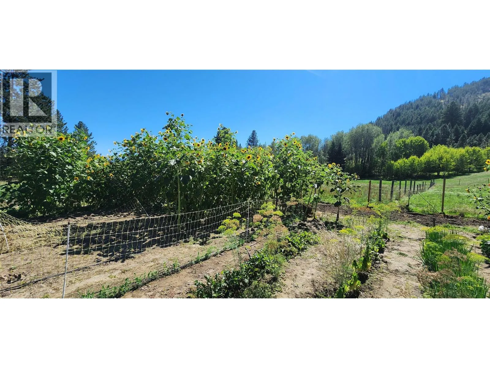 3450 Hardy Mountain Road