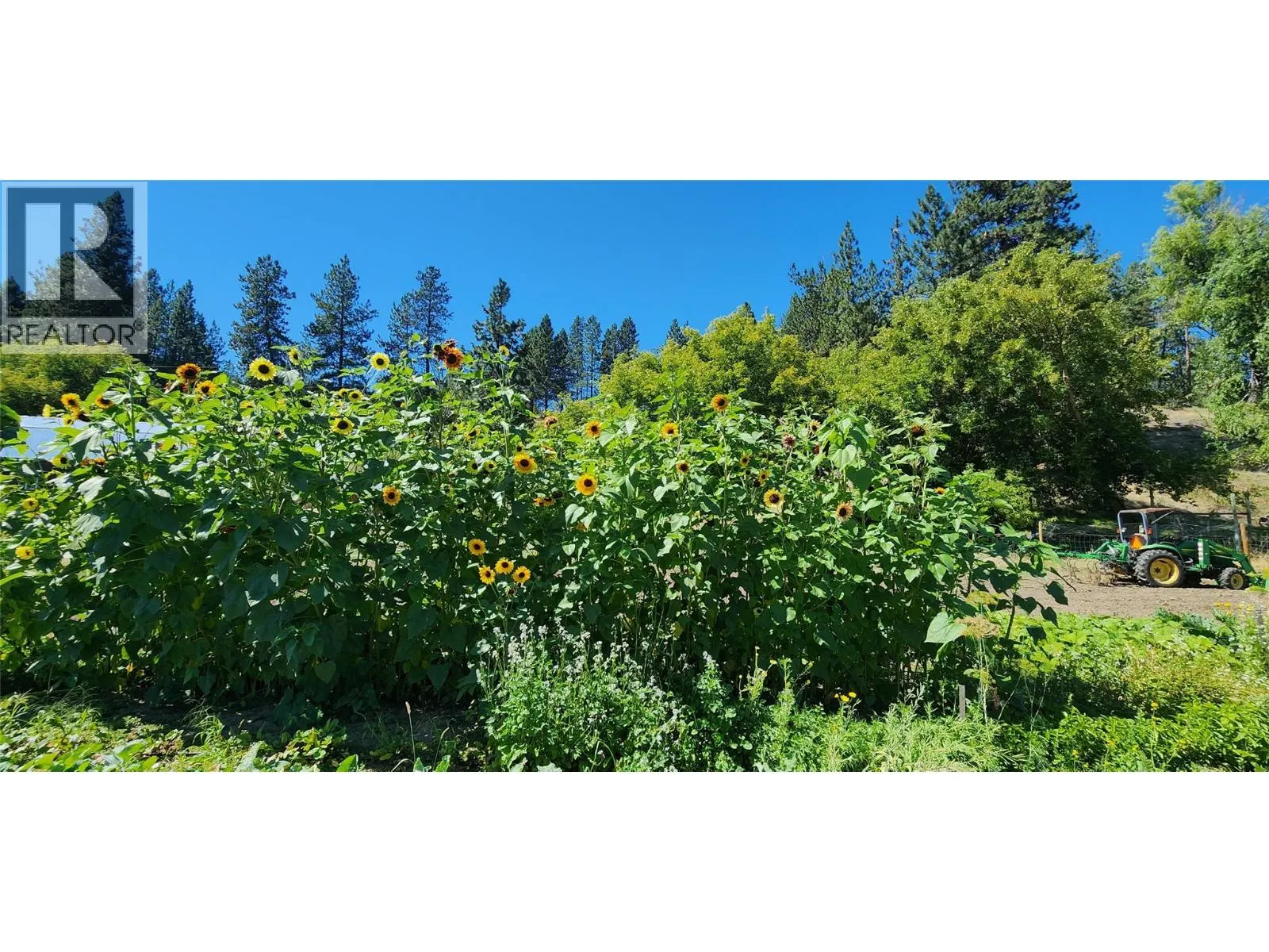 3450 Hardy Mountain Road