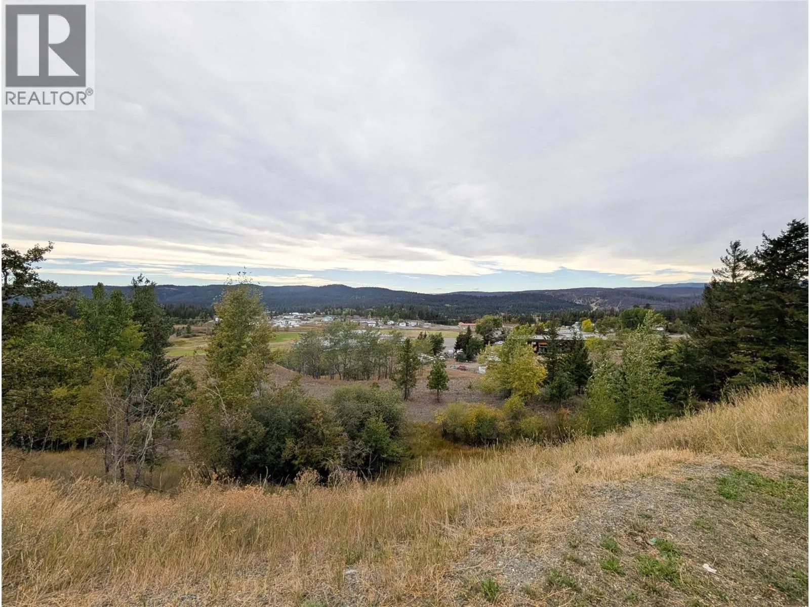 280 ALDER Drive Unit# 206