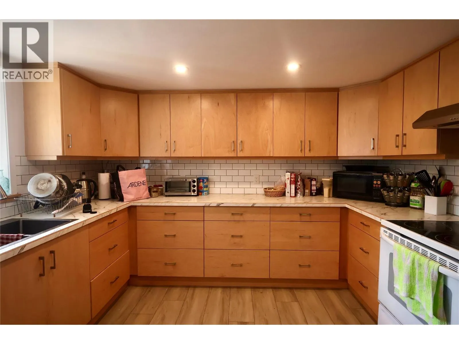 1229 ALEXANDER Drive