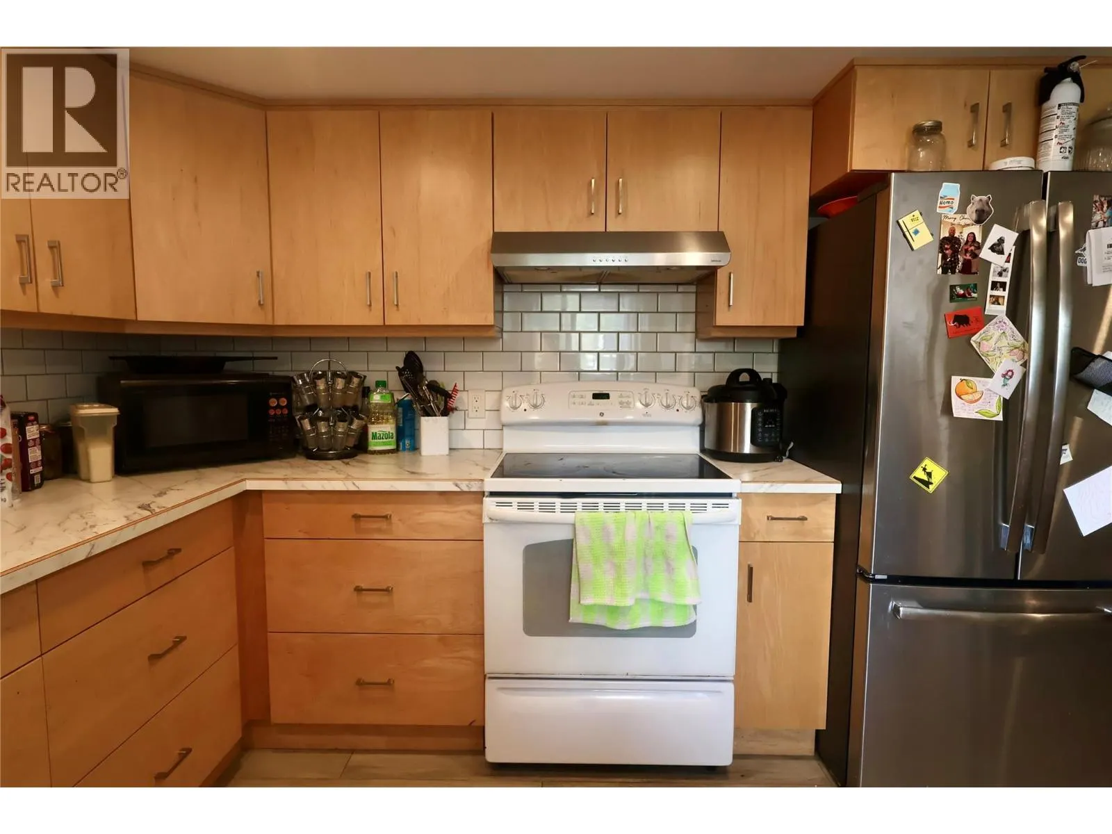 1229 ALEXANDER Drive