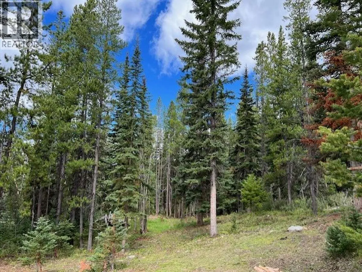Lot 4 PINERIDGE Drive