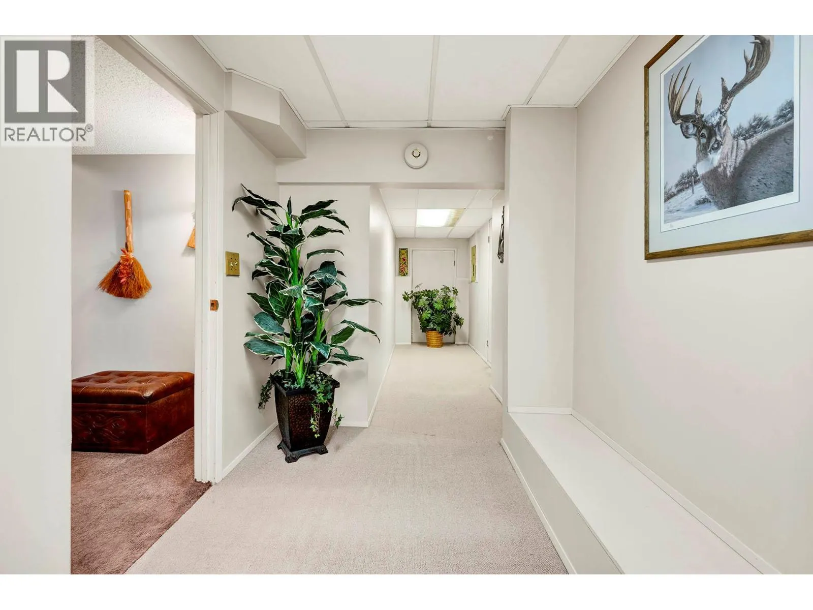 246 Robson Drive