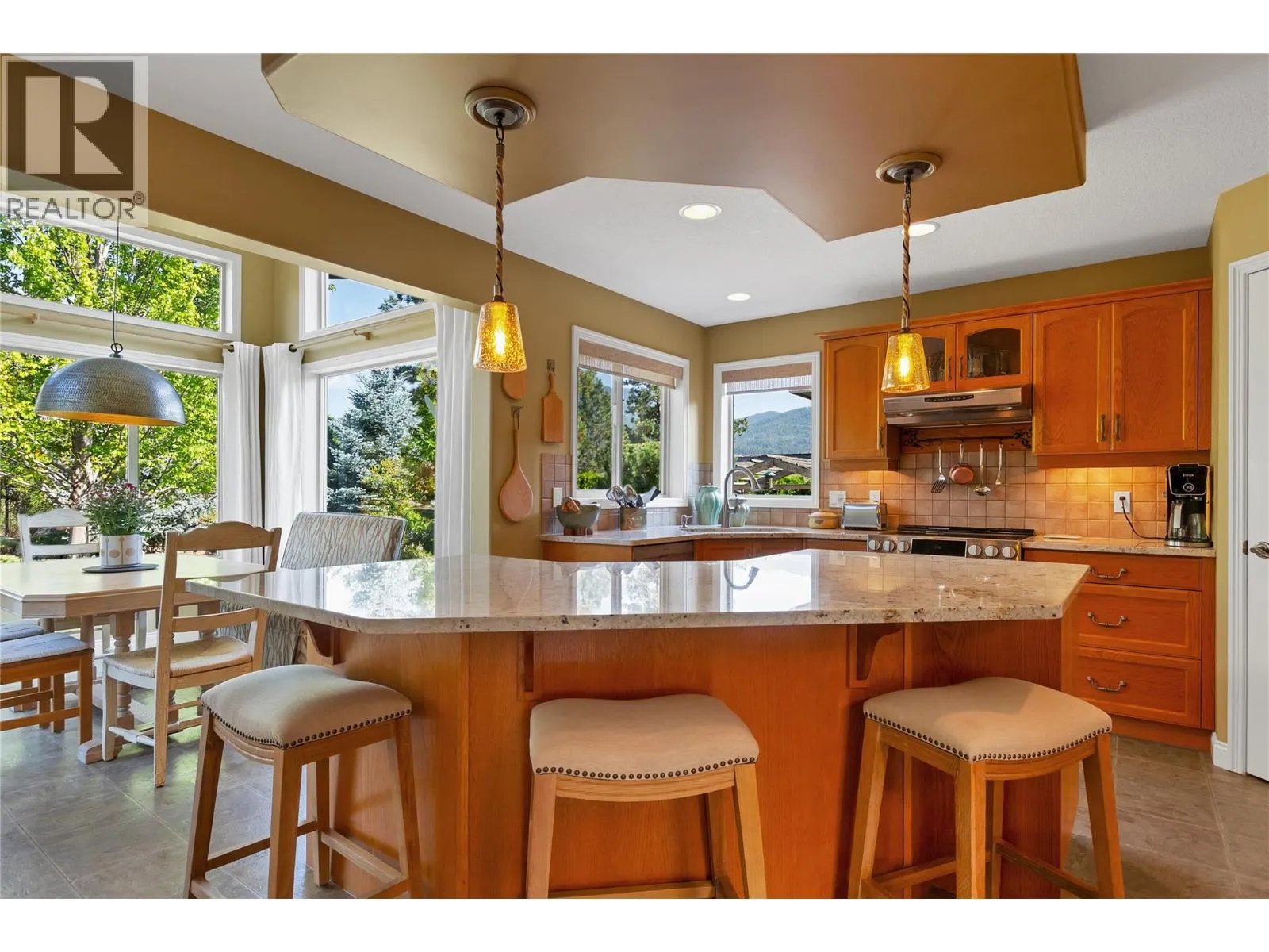 1442 Copper Mountain Court