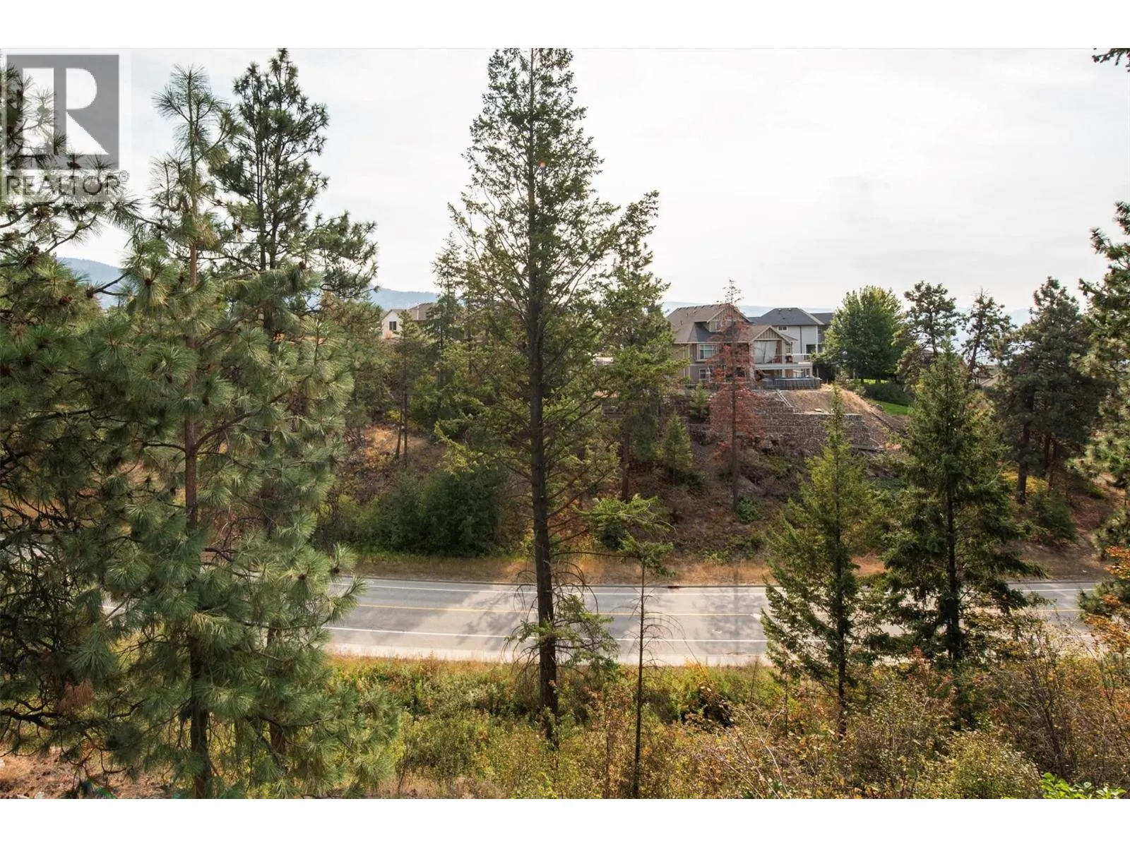 12623 Driftwood Court